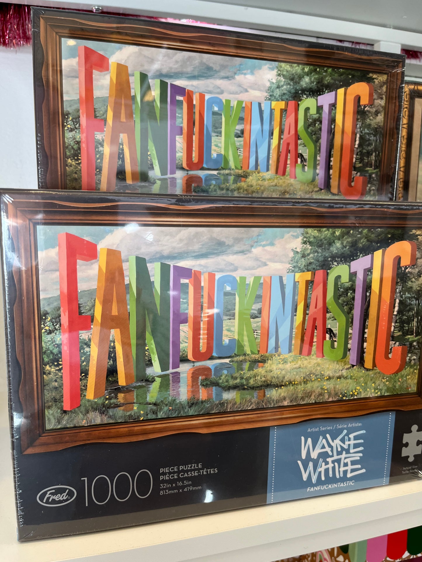Fanfuckingtastic Puzzle