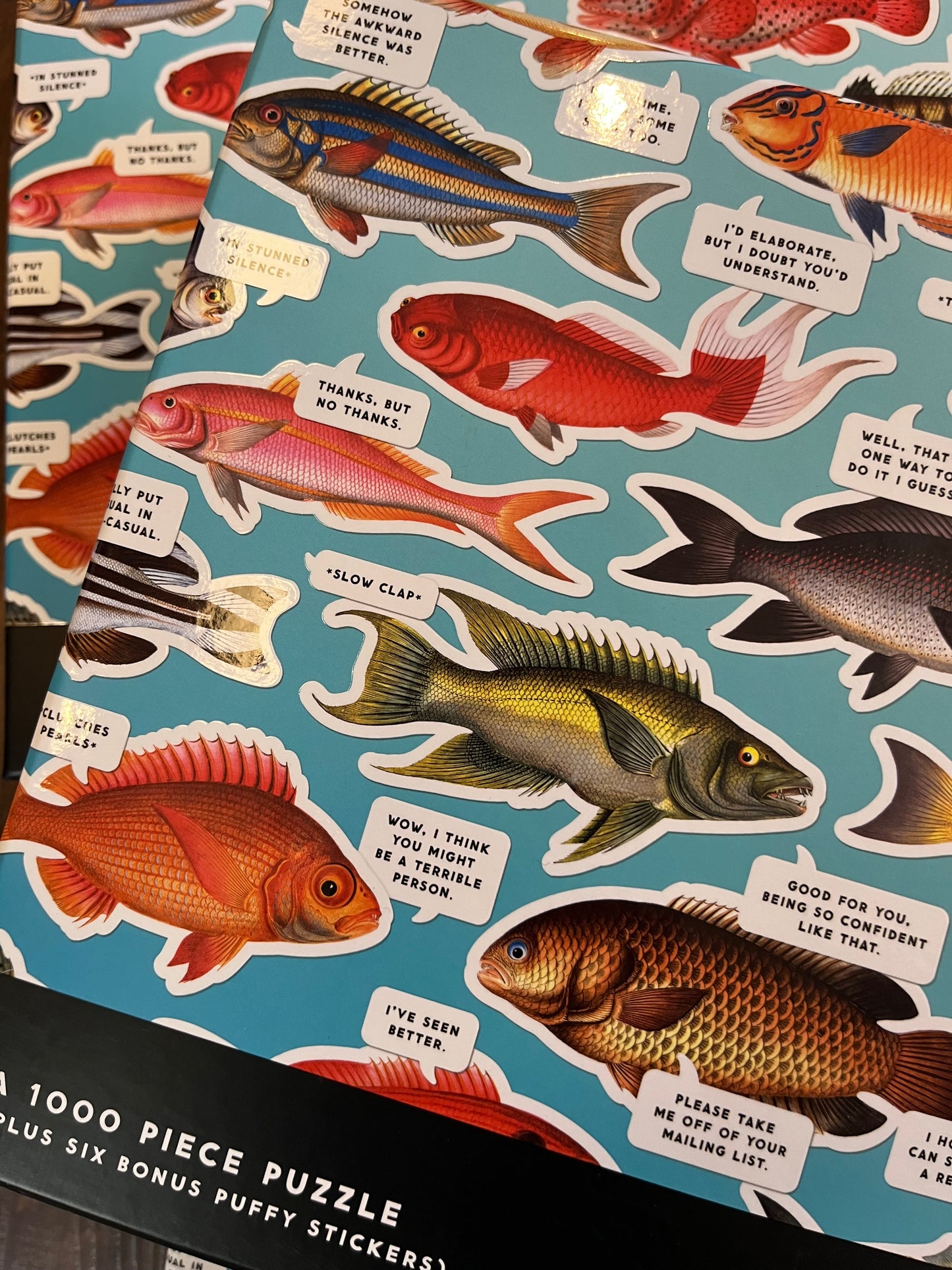 Judgy Fish Puzzle