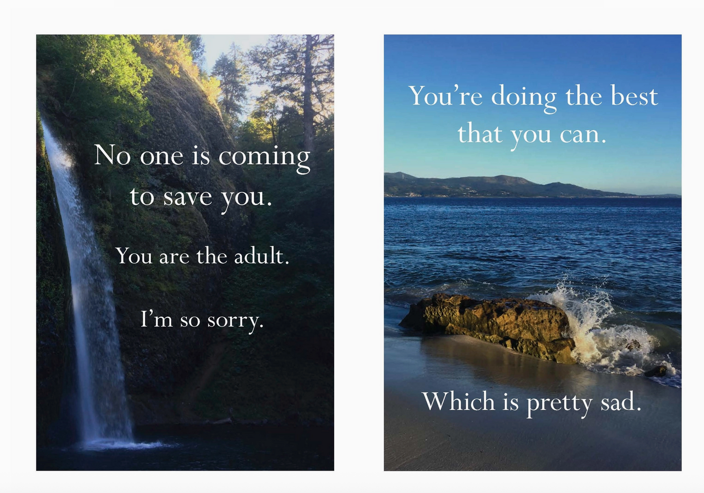 Disappointing Affirmations Book