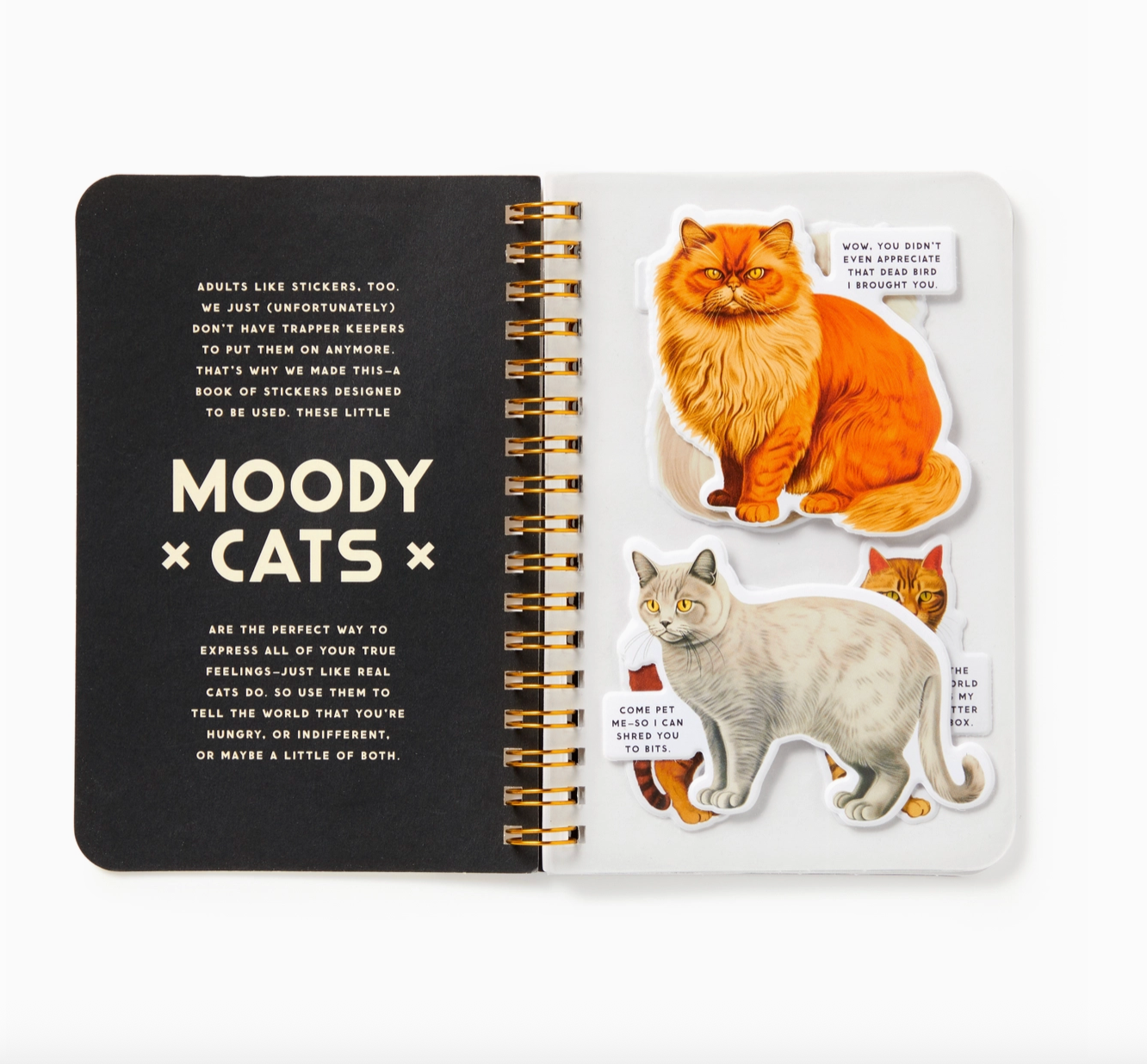 Moody Cats Sticker Book