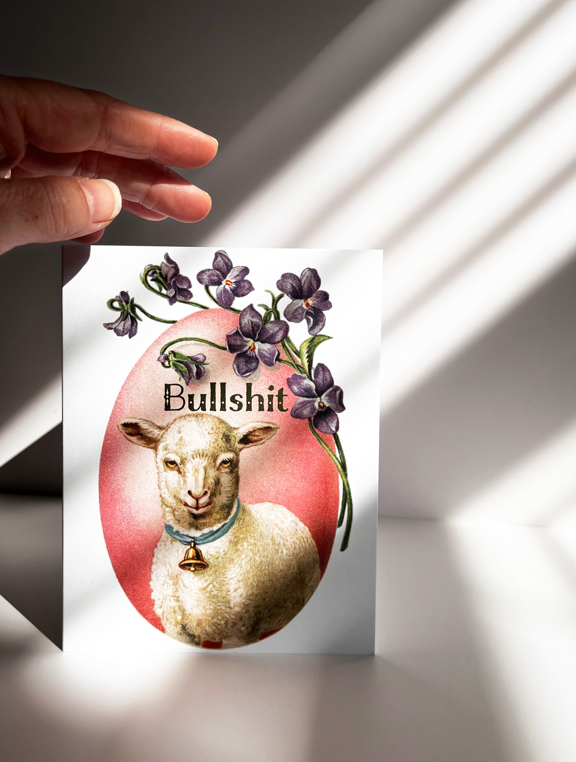 vintage lamb card bullshit funny cards coin laundry fun get well card moving best friend just because cards birthday funny retro style