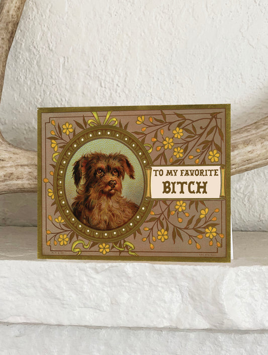 To My Favorite Bitch Funny Card