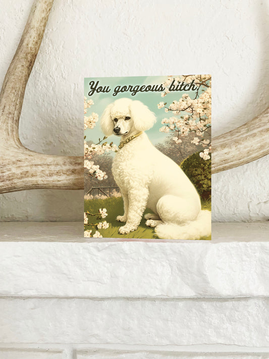 You Gorgeous Bitch Funny Card with Poodle Dog - Encouragement Love Friendship Card