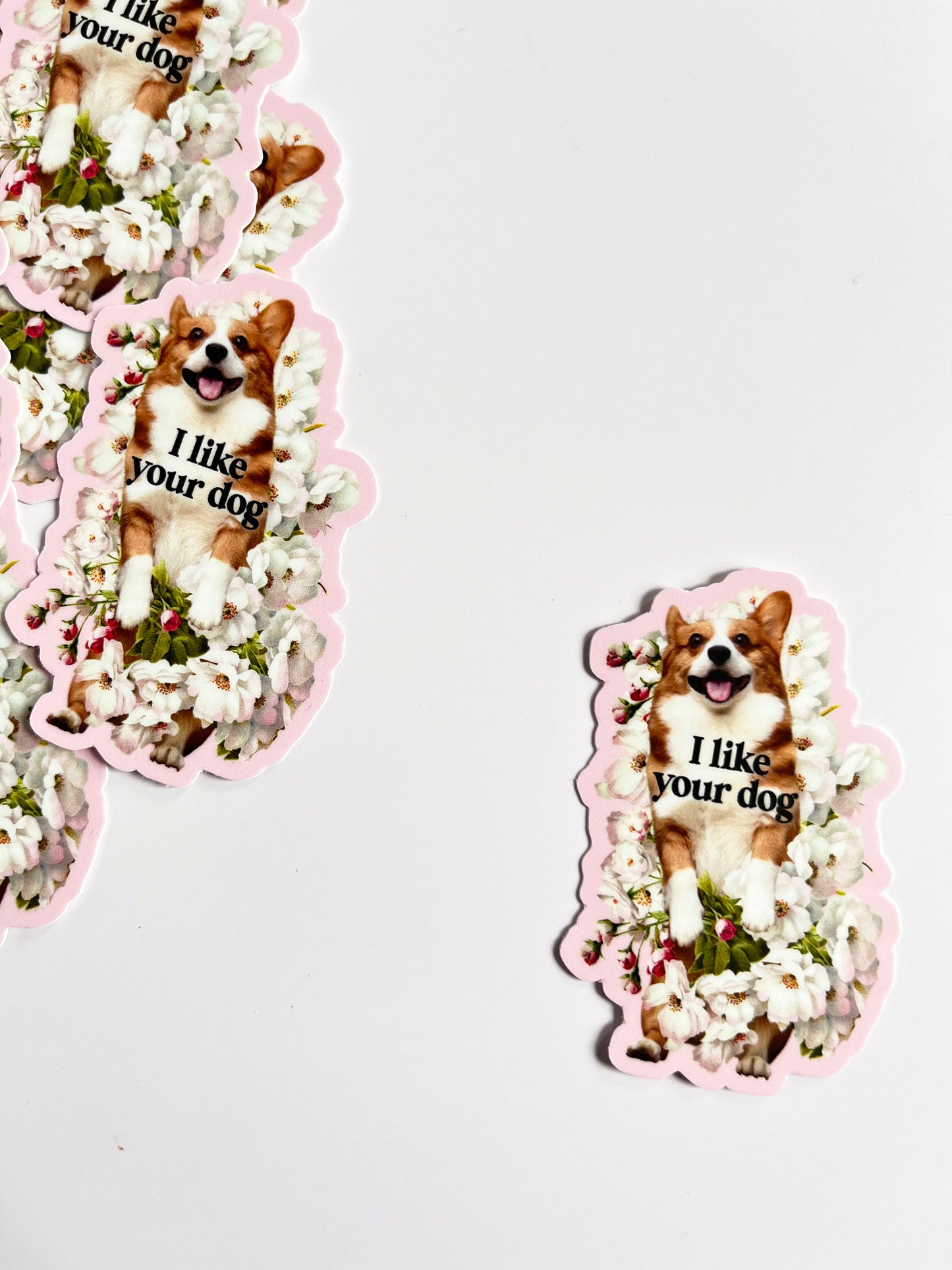 adorable puppy sticker i like your dog fun corgi stickers pink flowers vintage style stickers for dog lovers funny stickers coin laundry montana 