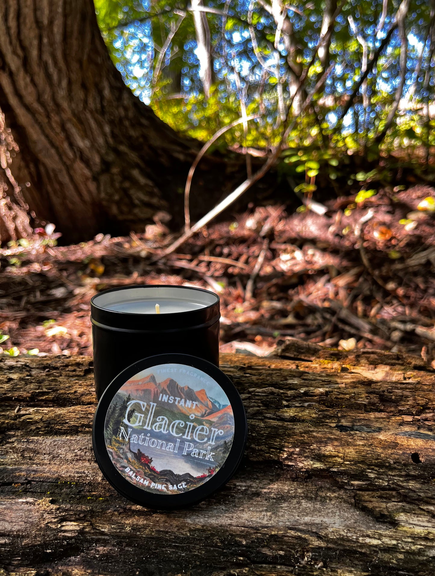 Instant Glacier National Park Scented Candle Tin