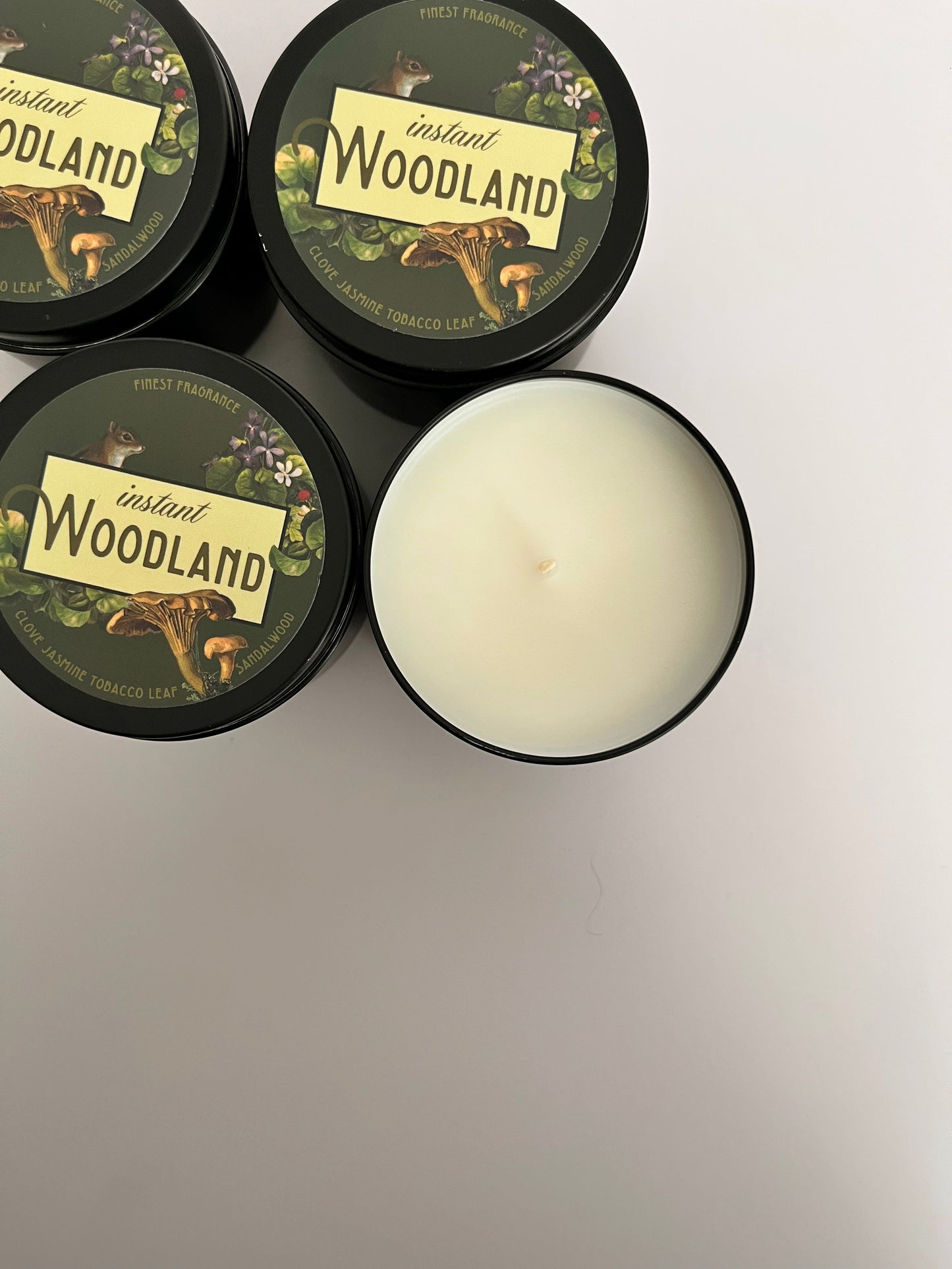 cute instant woodland scented candle soy wax hand poured green nature floral mushroom squirrel coin laundry montana