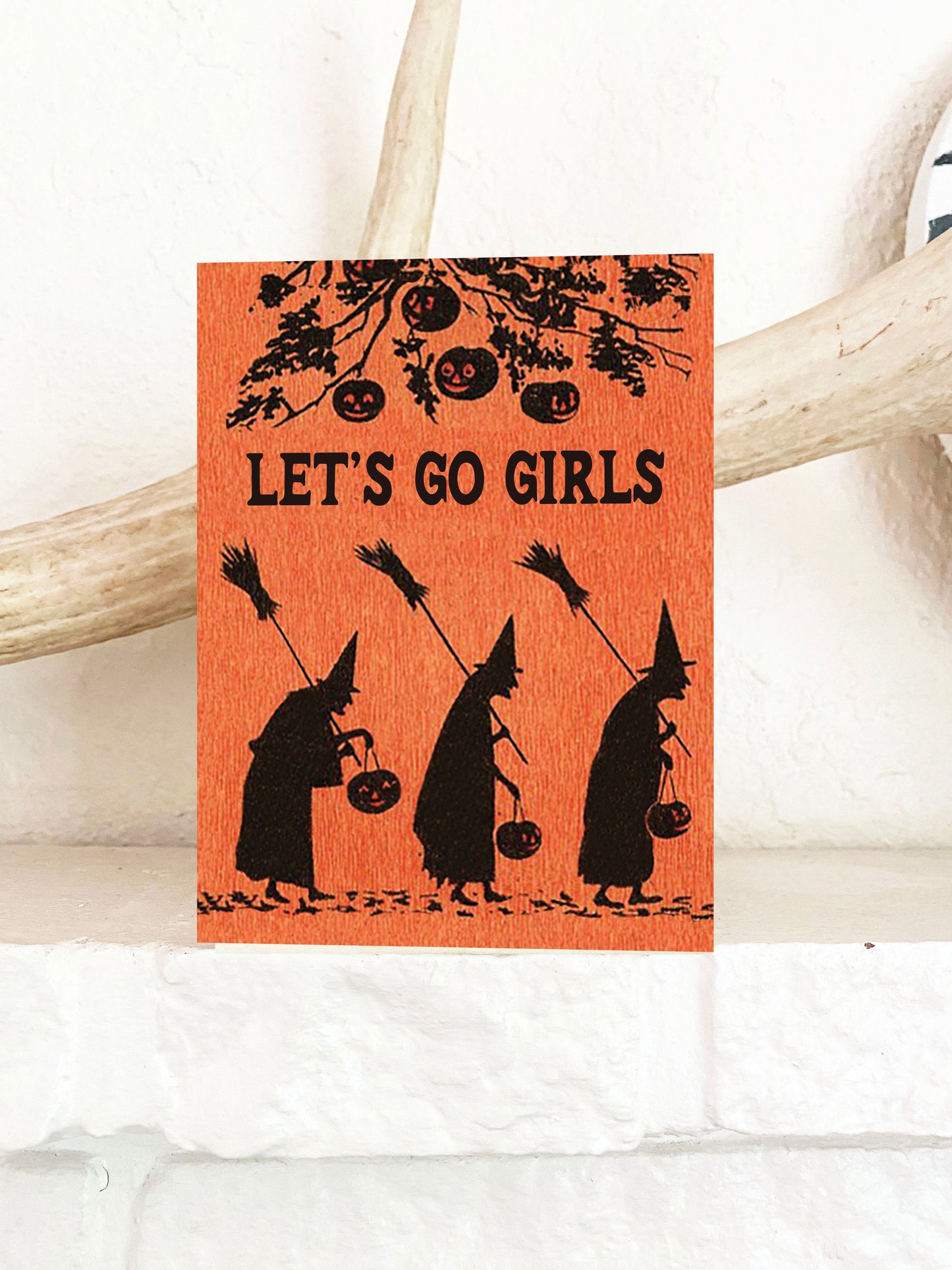 Let's Go Girls Witches Funny Greeting Card