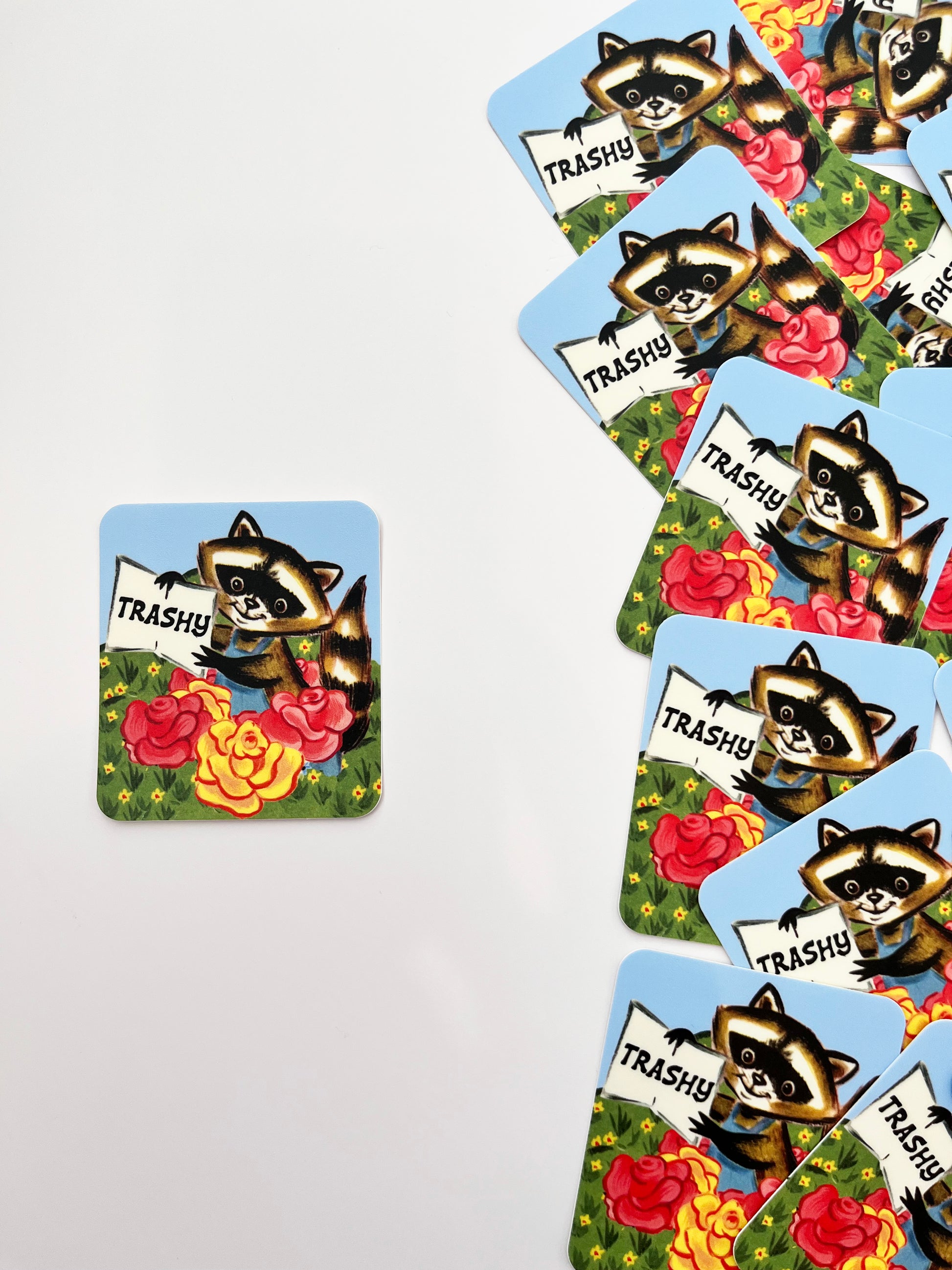 trashy sticker coin laundry montana cute raccoon holding a sign trashy yellow pink flowers fun stickers coin laundry montana