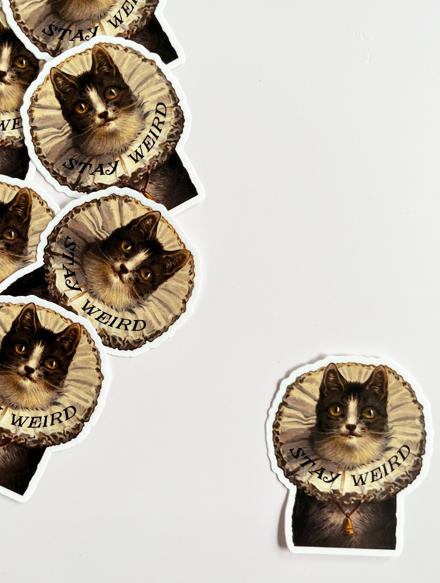 funny cat sticker cat wearing a victorian costume collar stay weird sticker cute cat kitty kitten stickers coin laundry montana