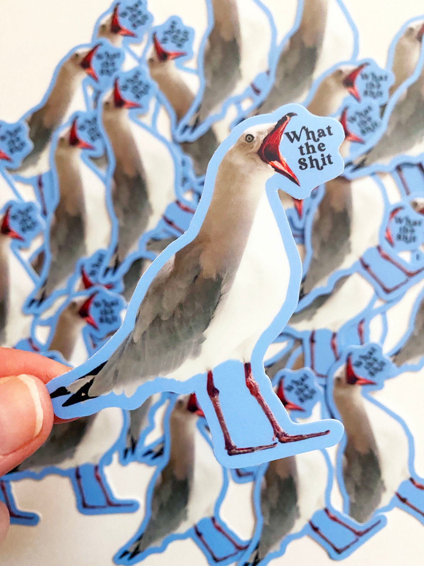 funny seagull sticker saying what the shit snarky bird sticker what the shit cute bird sticker funny stickers for bird lovers swear words stickers coin laundry montana
