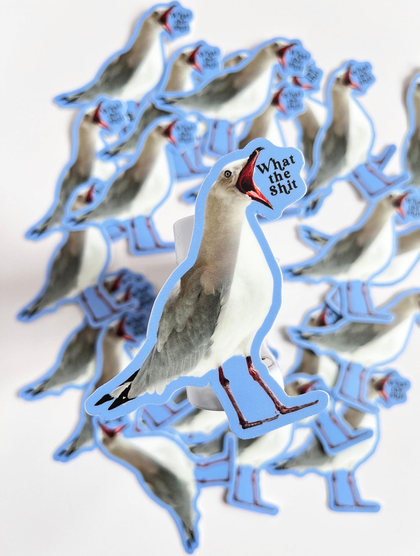 cute blue seagull sticker saying what the shit funny bird sticker what the shit fun sticker coin laundry montana
