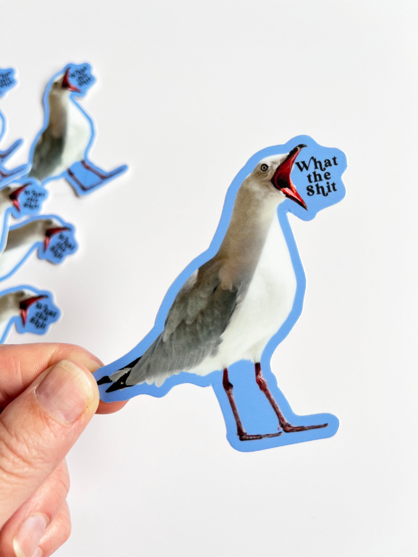 blue sticker seagull bird yelling what the shit what the fuck cute coin laundry funny stickers snarky sticker