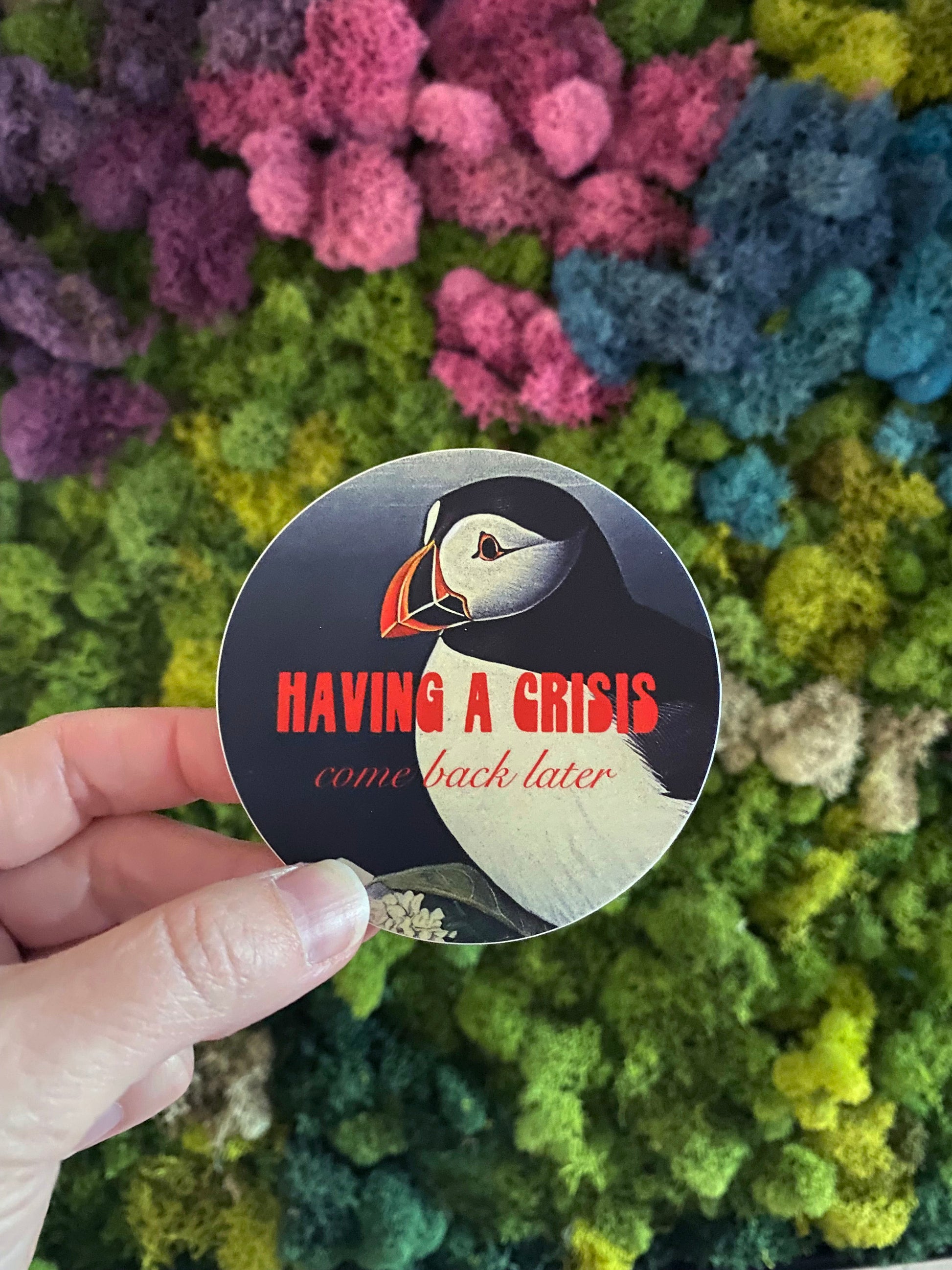 round sticker funny having a crisis come back later joke silly funny mental health stickers bird sticker puffin sticker penguin sticker red gray vintage style coin laundry stickers montana