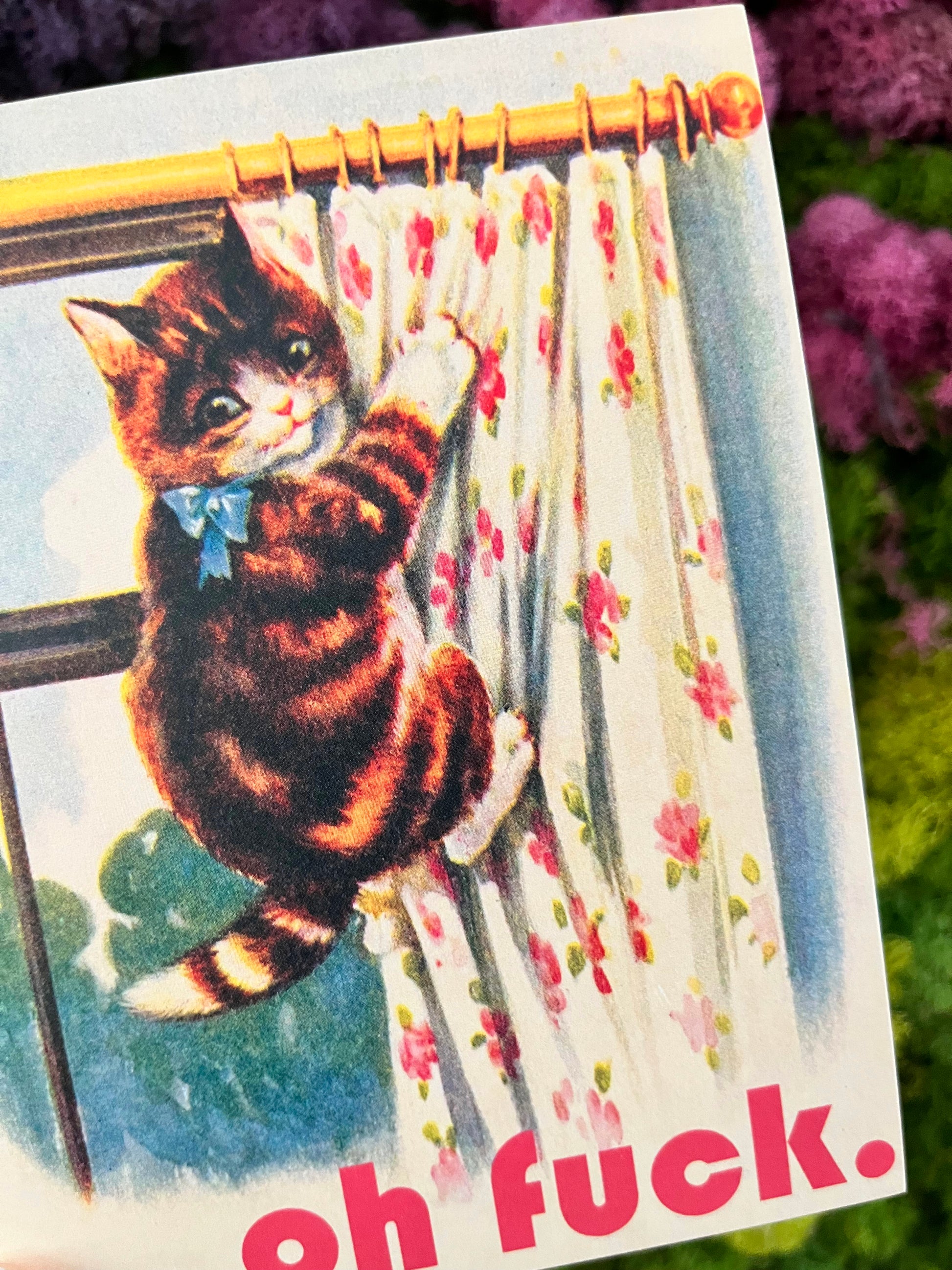 adorable cat on floral curtain cute vintage retro oh fuck text silly get well miss you card