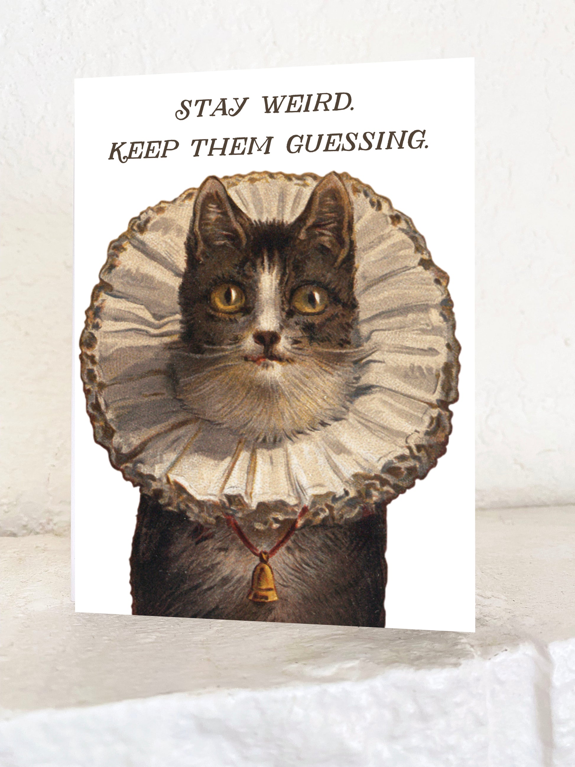 cute greeting card blank inside says Stay Weird Keep Them Guessing all purpose mail cat kitty vintage puffy collar bell brown cream funny bestie best friend sister brother