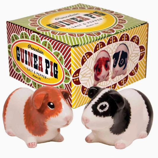  Guinea pig salt and pepper shakers with decorative box on a white background