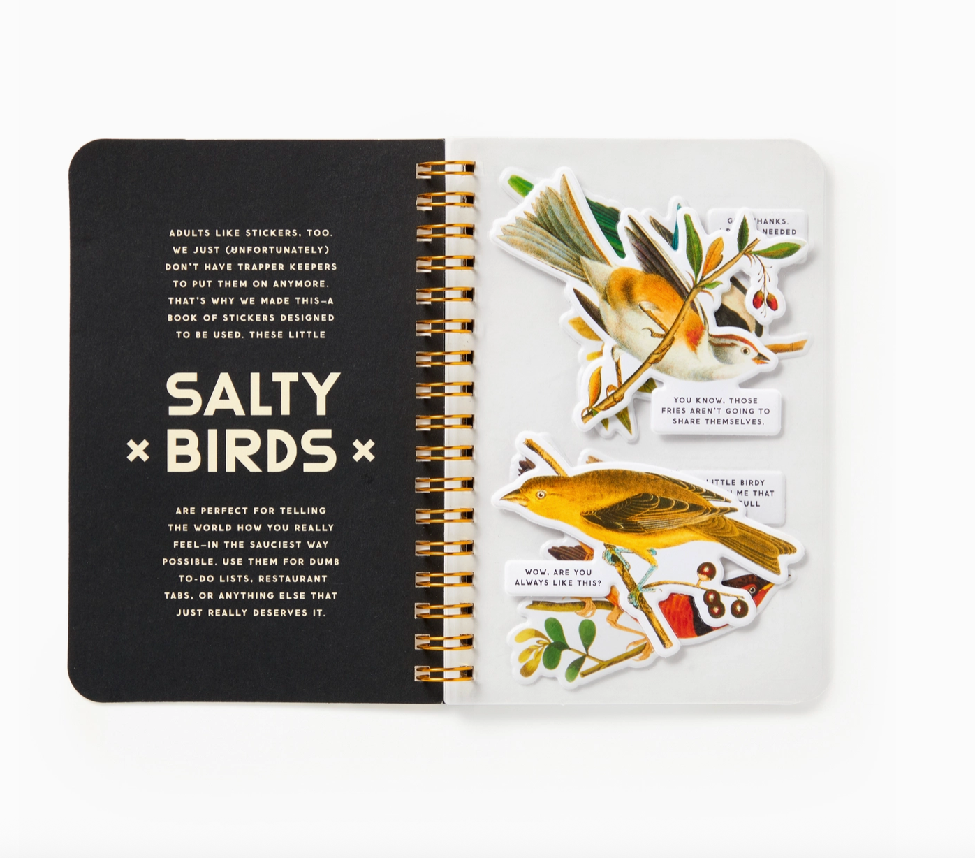 Salty Birds Sticker Book