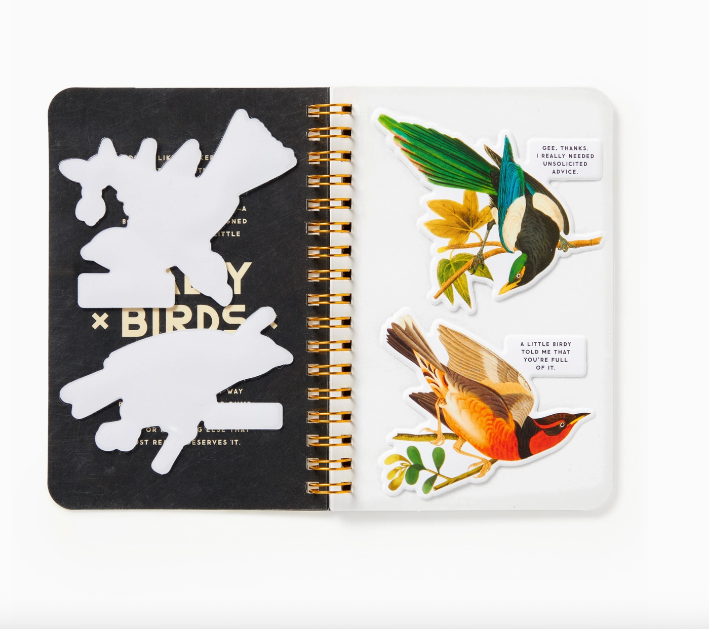 Salty Birds Sticker Book