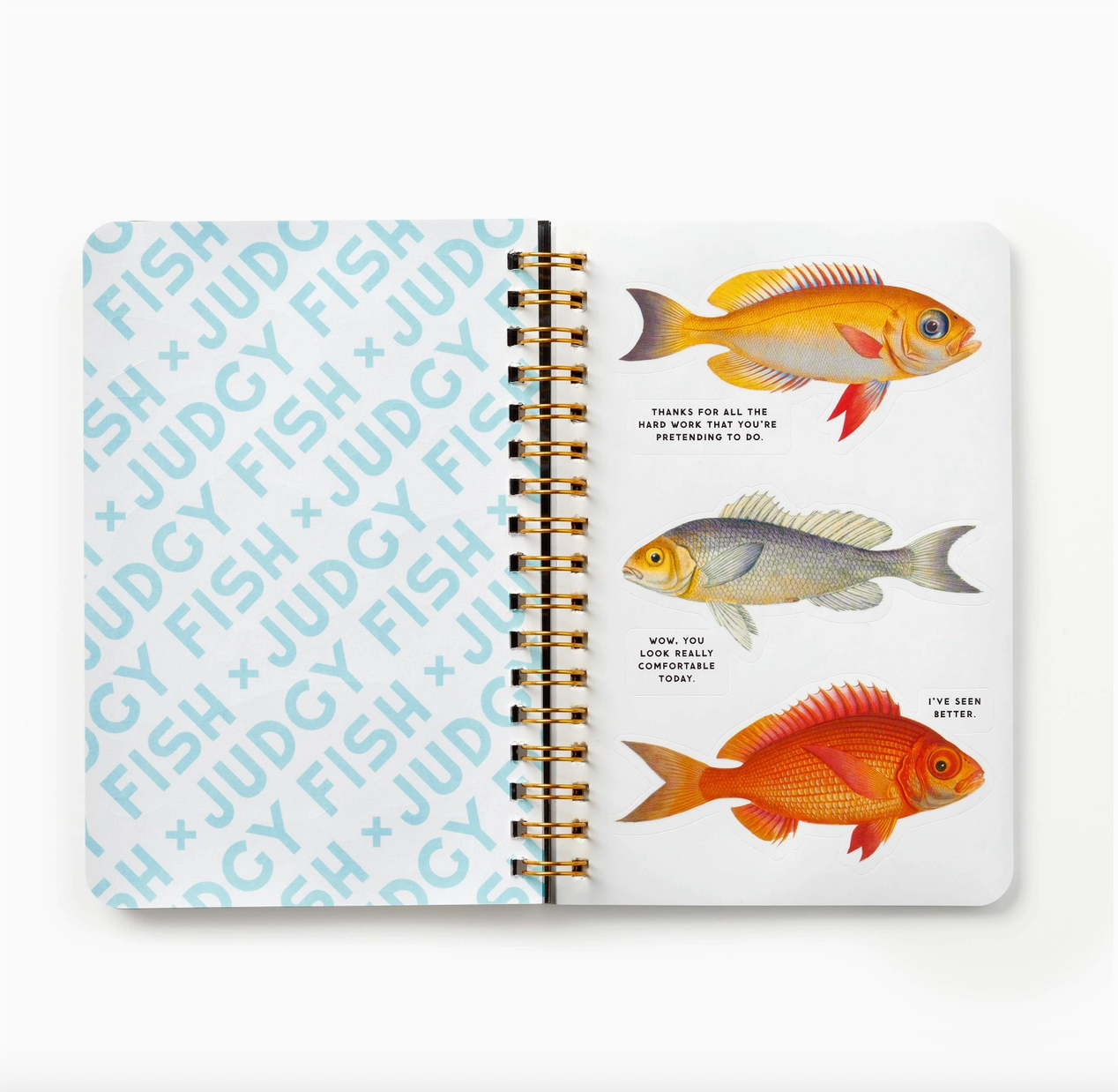Judgy Fish Sticker Book