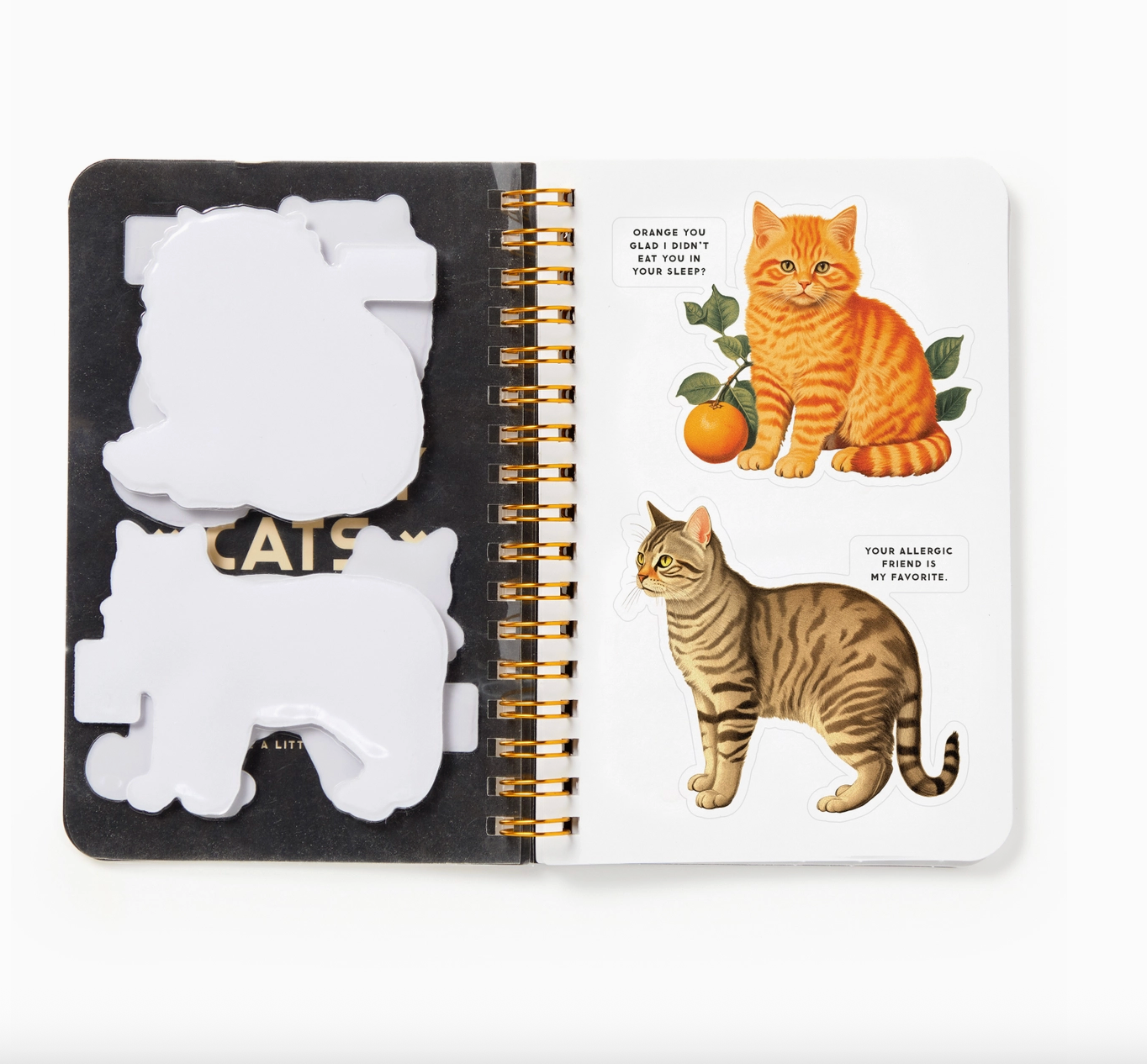 Moody Cats Sticker Book