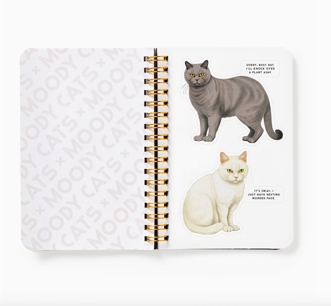 Moody Cats Sticker Book