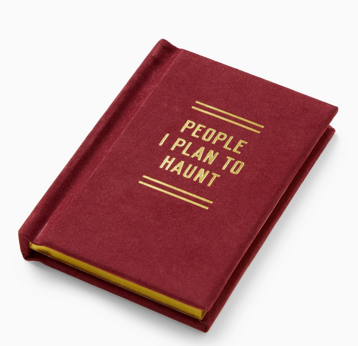 People I Plan to Haunt Book