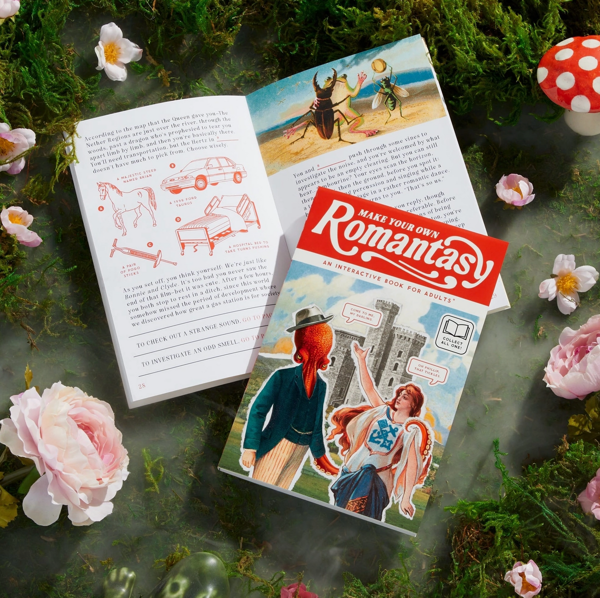 Romantasy Fill in Book