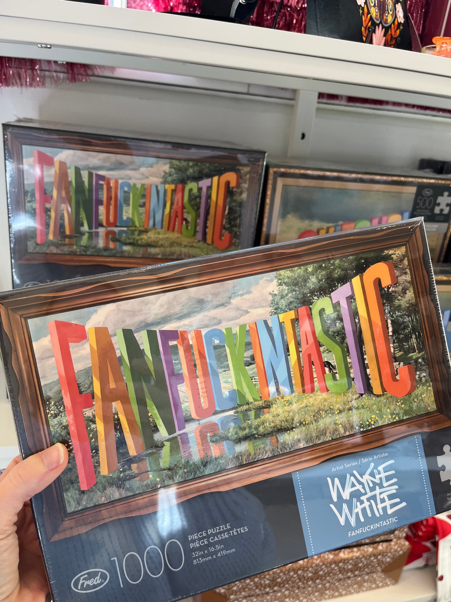 Fanfuckingtastic Puzzle