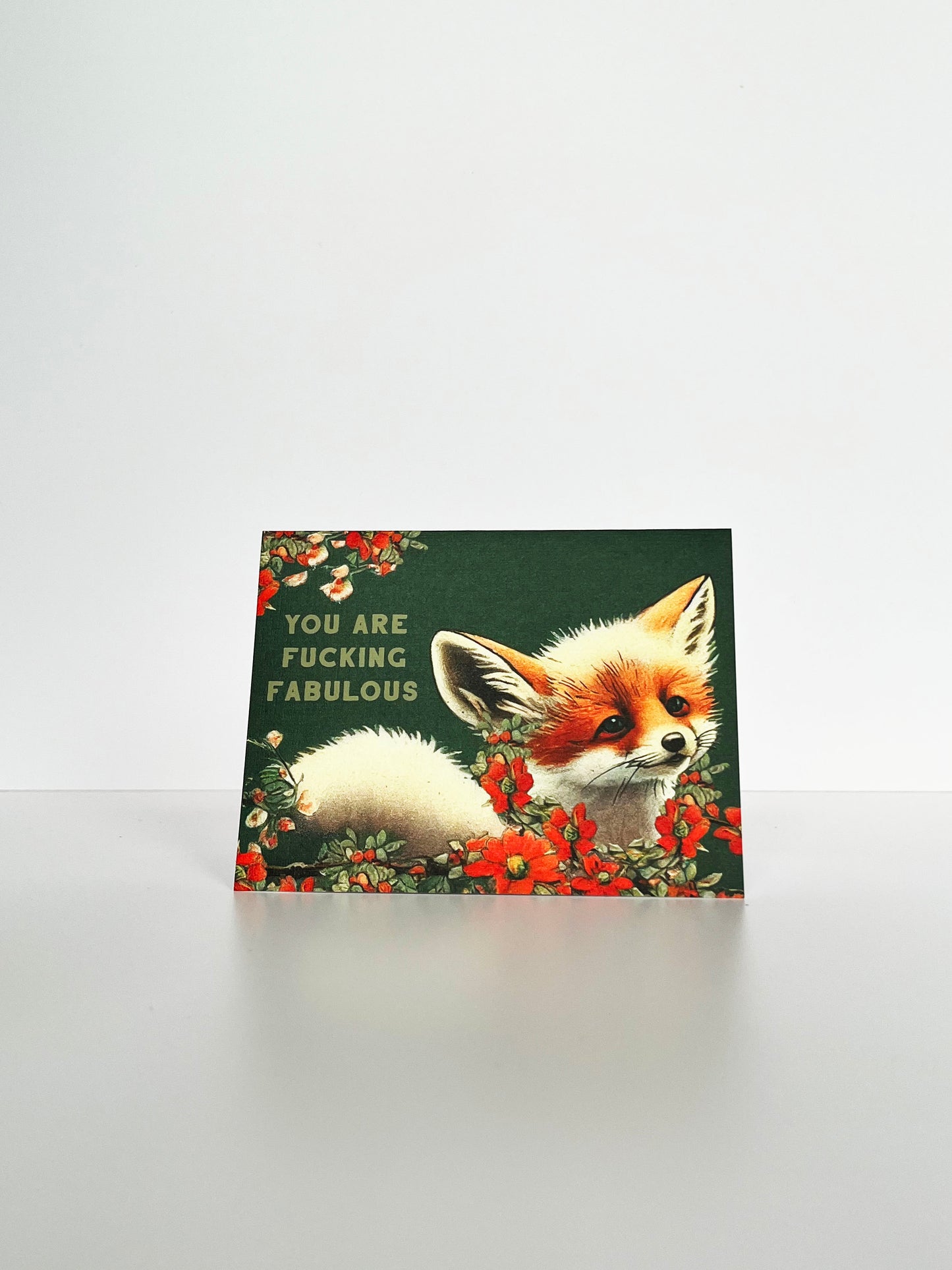 cute funny sassy greeting card all purpose blank inside for bestie friend father's day mother's day you are fucking fabuous birthday anniversary card fun fox animal woodland flowers coin laundry retro design