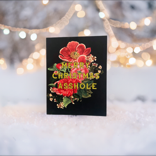 merry christmas asshole card funny holiday cards xmas winter cards for family friends fun retro look rifle paper co flowers red floral vintage style coin laundry