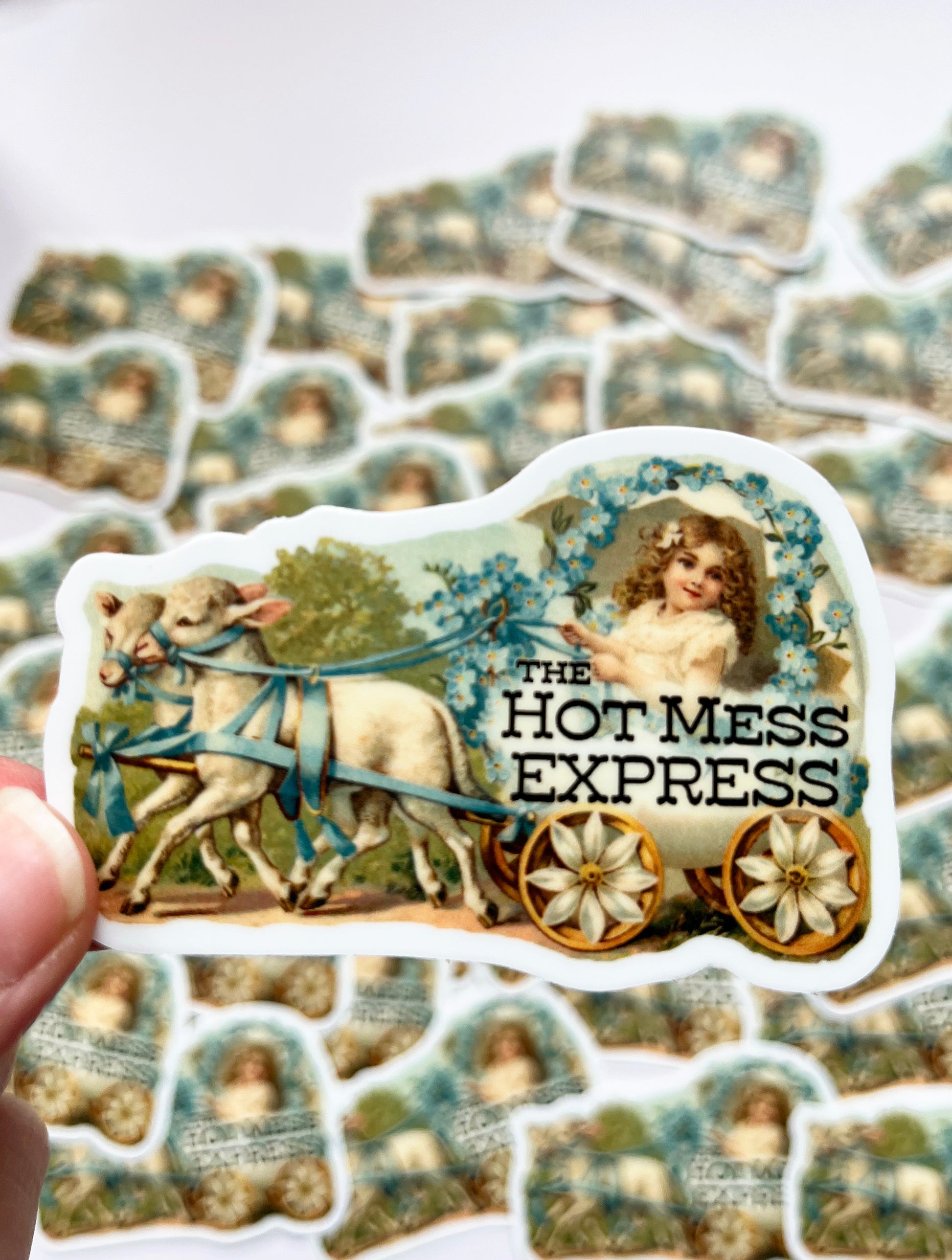 fun sticker pretty vintage girl in carriage with lambs the hot mess express floral blue green coin laundry montana 