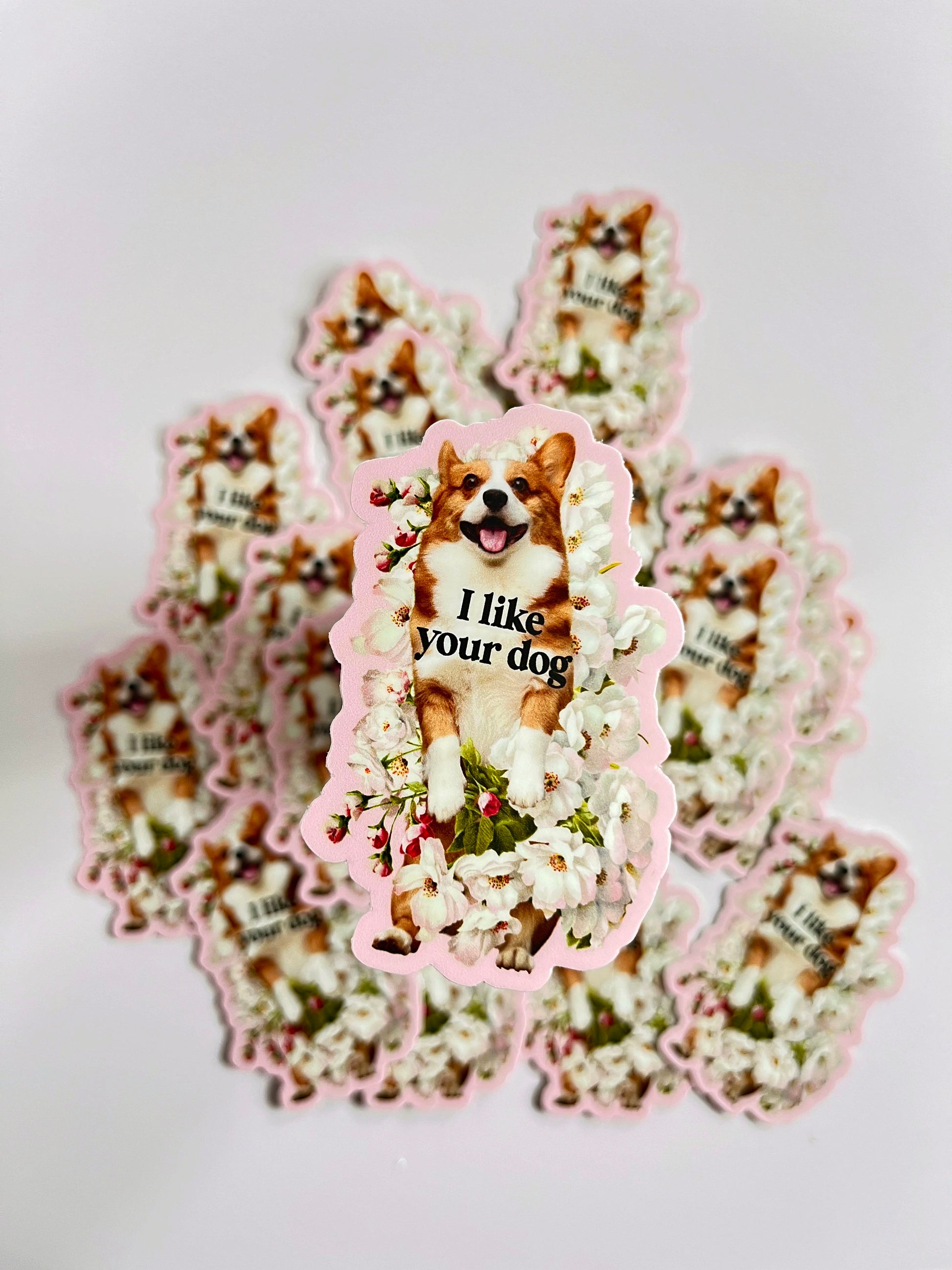 coin laundry i like your dog sticker cute sticker with puppy that says i like your dog flowers corgi pink pretty fun montana 