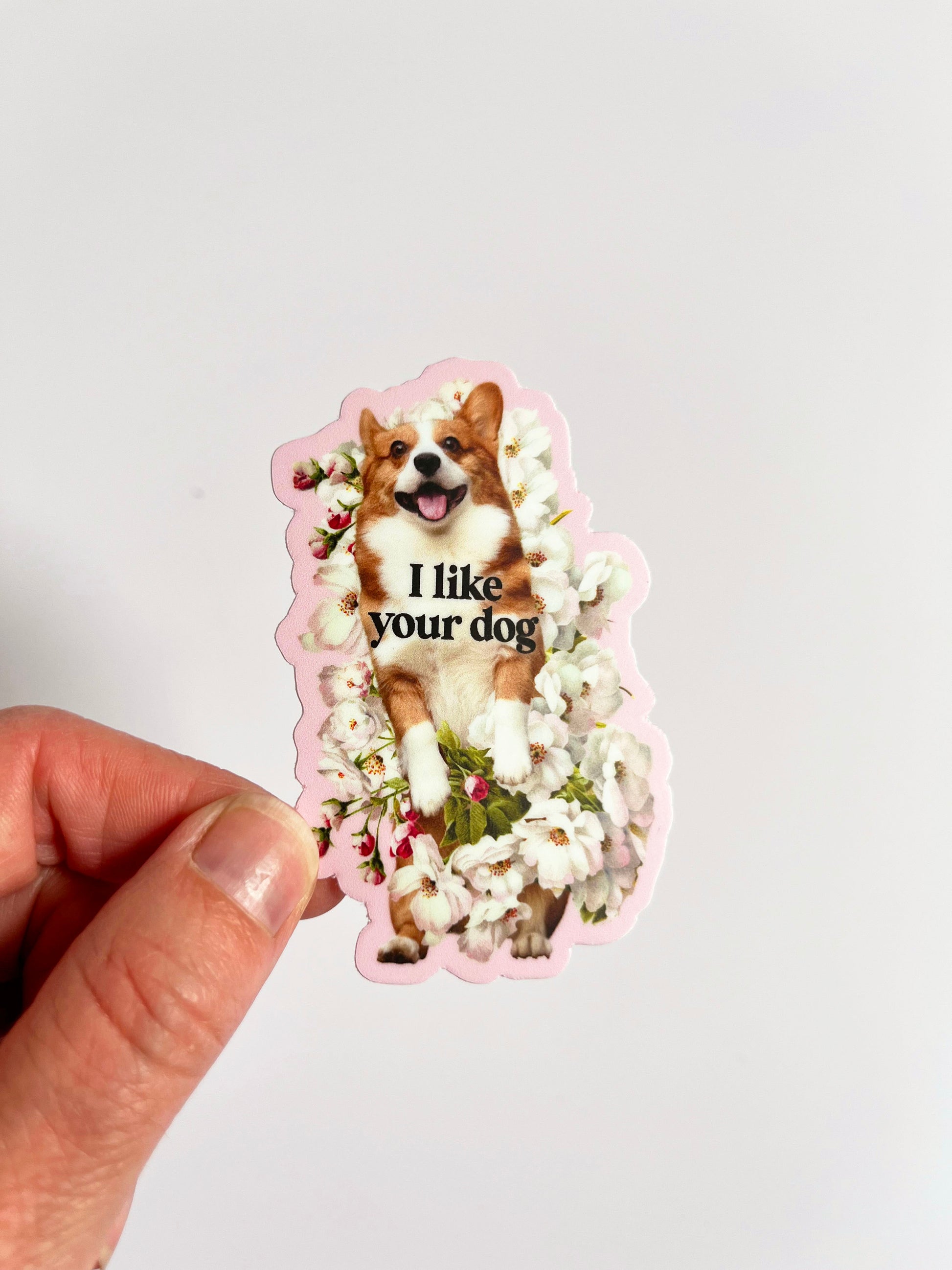 cute sticker for dog lovers puppy i like your dog sticker dog sticker pink floral corgi fun funny stickers coin laundry montana