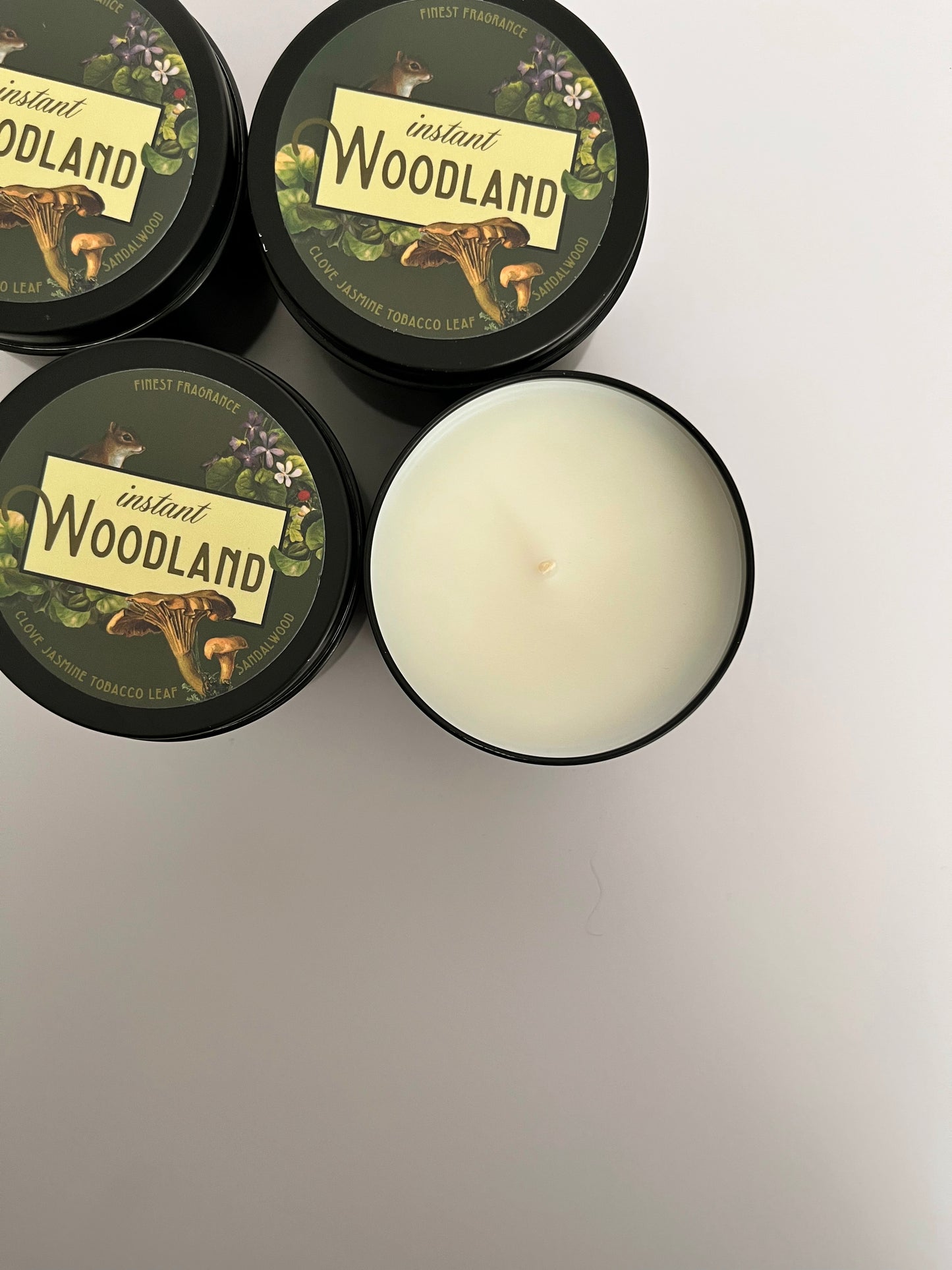cute instant woodland scented candle soy wax hand poured green nature floral mushroom squirrel coin laundry montana 