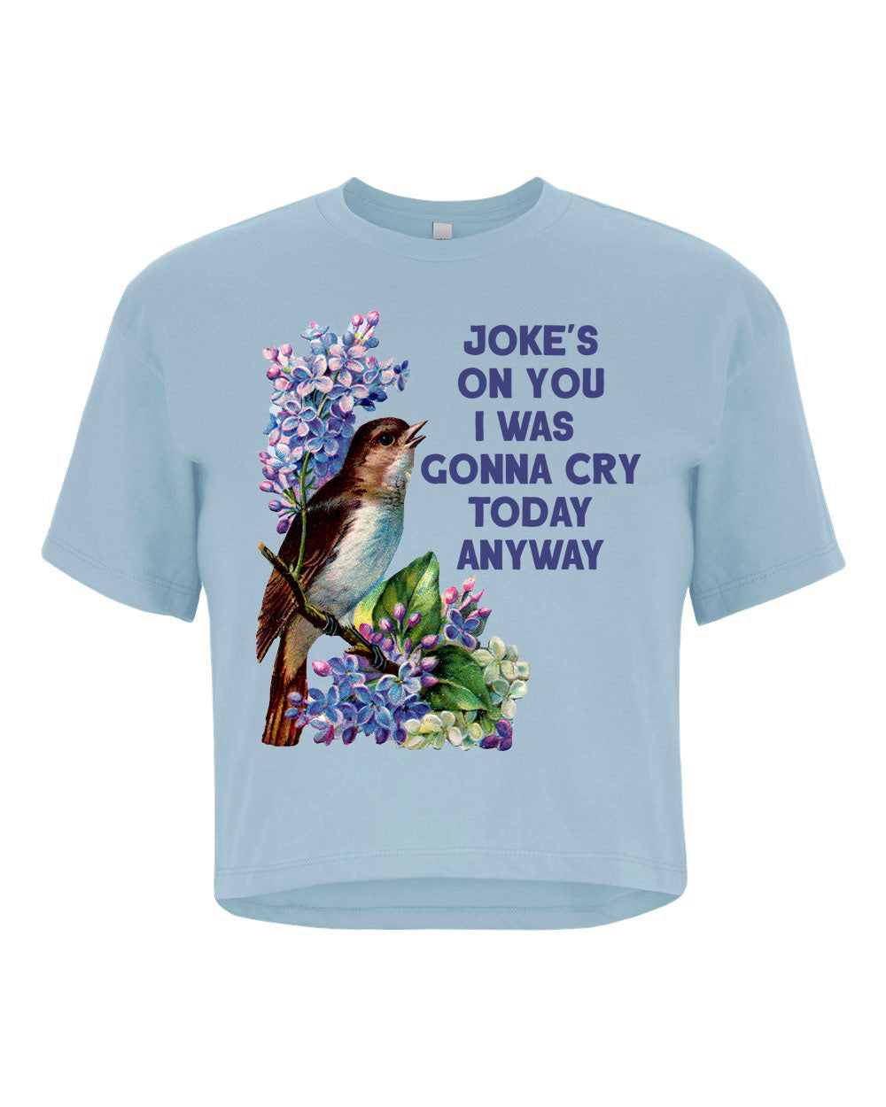 Jokes On You Crop Tee - Blue