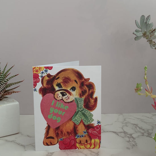 The perfect card to give to your crush, your best friend, or for Valentine's Day. Featuring a brown vintage puppy dog holding a heart in it's mouth, surrounded by pink and yellow flowers. Greeting says, "I like your dog." Blank inside. 