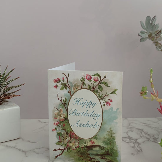 Funny birthday greeting card that says, Happy Birthday Asshole on the front. Background is vintage, natural, outdoor scene with a bridge over water, and a floral branches Inside is blank coin laundry