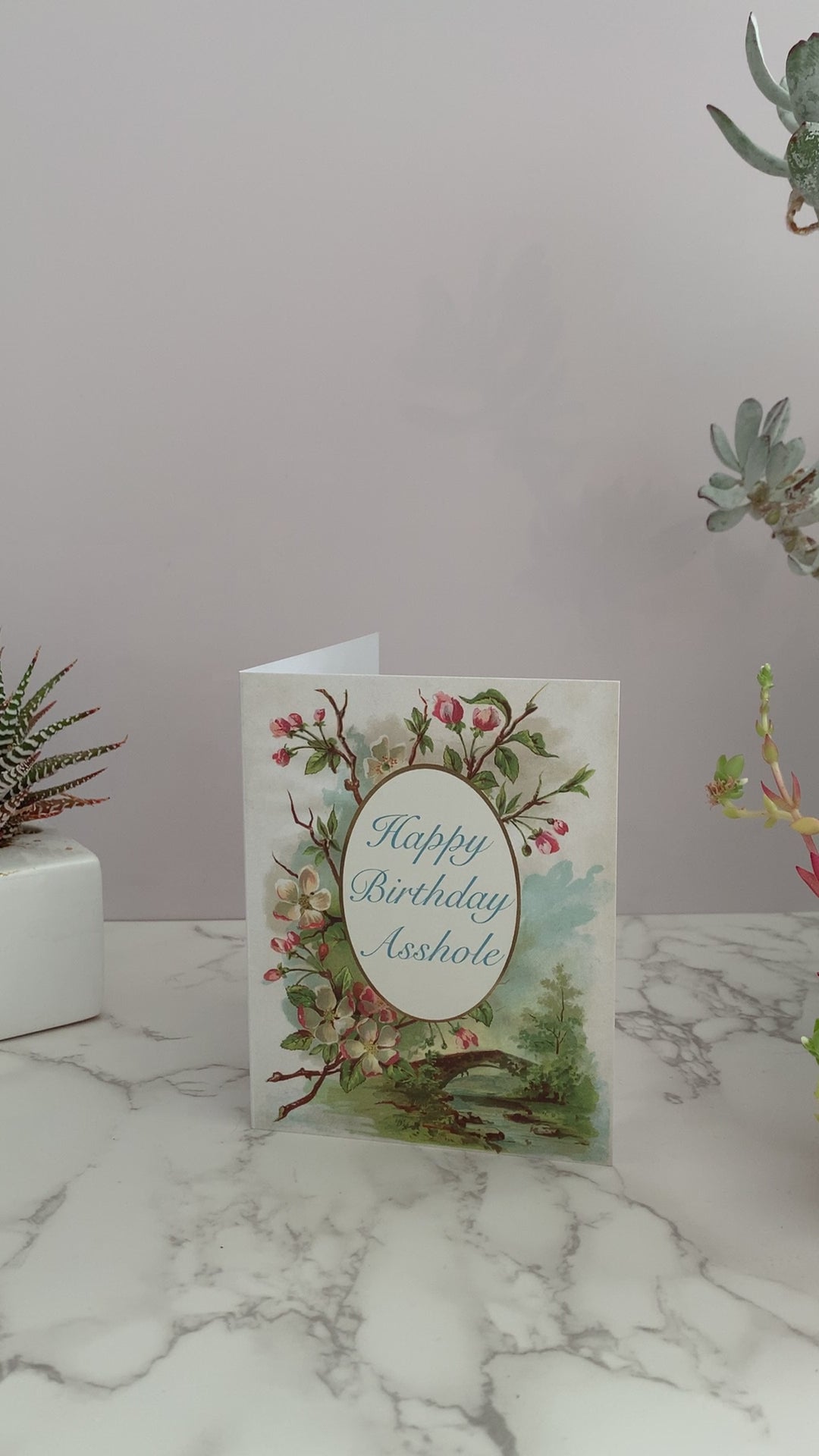 Funny birthday greeting card that says, Happy Birthday Asshole on the front. Background is vintage, natural, outdoor scene with a bridge over water, and a floral branches Inside is blank coin laundry