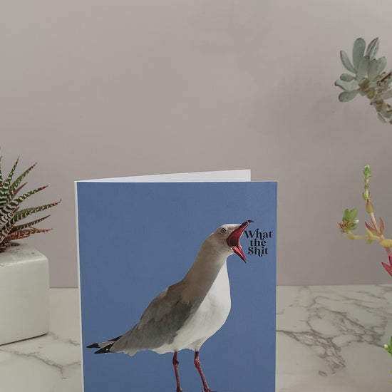 All purpose greeting card. Bright blue background featuring a seagull with it's mouth open saying, "What the shit." Perfect to send to a friend who's going through some shit. Or many other reasons. Blank inside.
