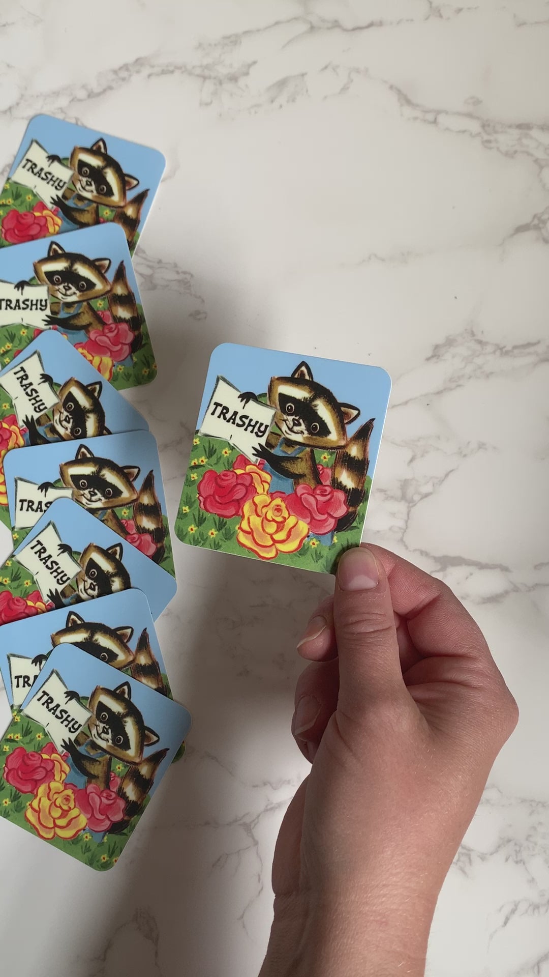 adorable trashy raccoon trash panda sticker cute funny vintage drawing flowers grass sky overalls joke fancy friend coin laundry stickers montana