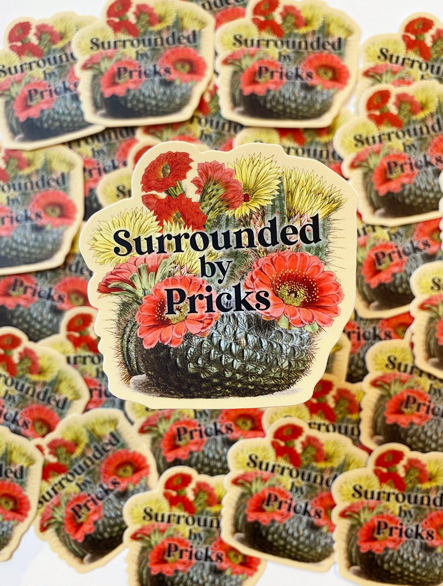 funny cactus sticker surrounded by pricks flowering cactus red yellow coin laundry funny joke stickers montana