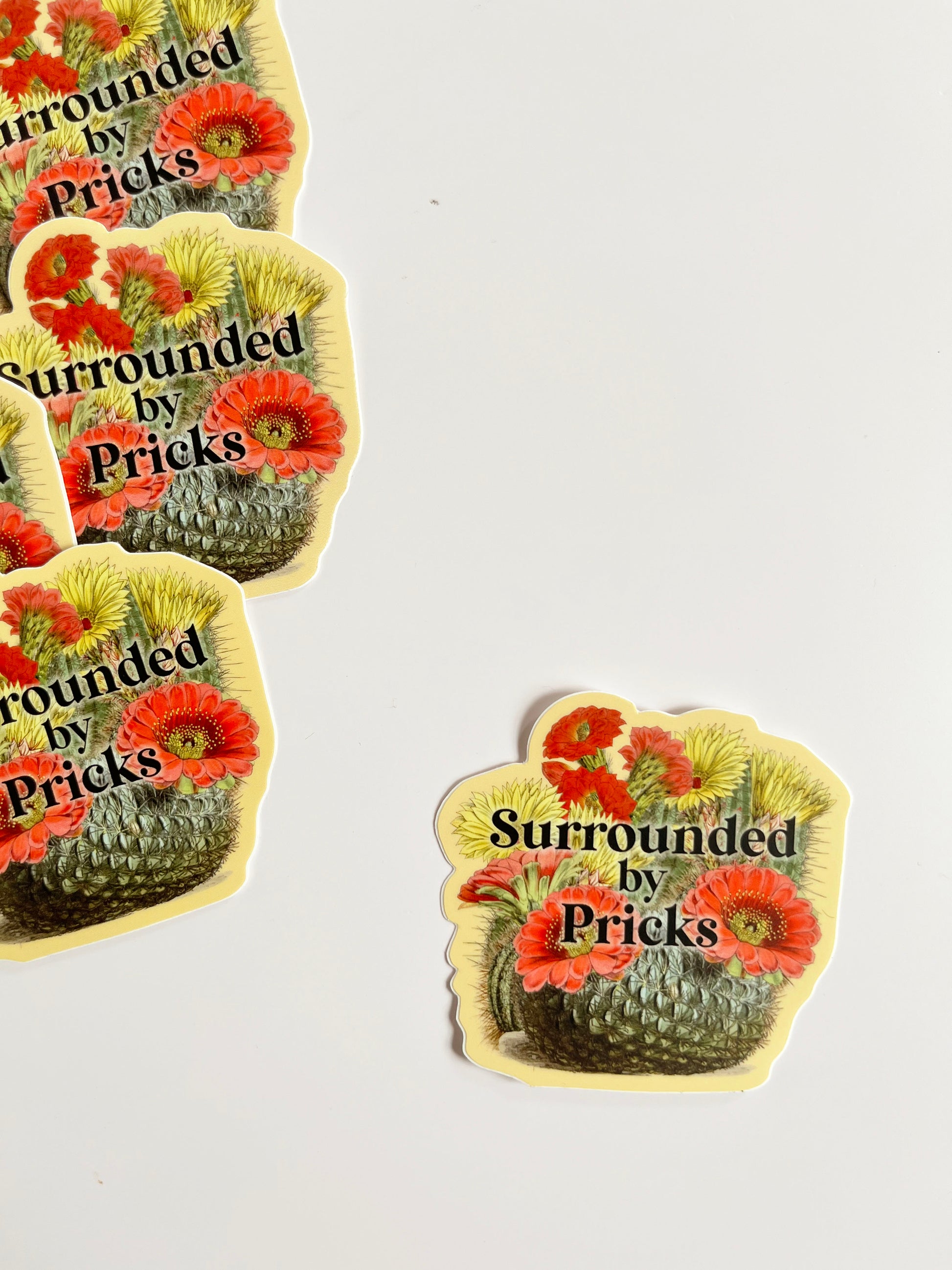 snarky cactus sticker surrounded by pricks flowers funny stickers coin laundry montana sarcastic stickers