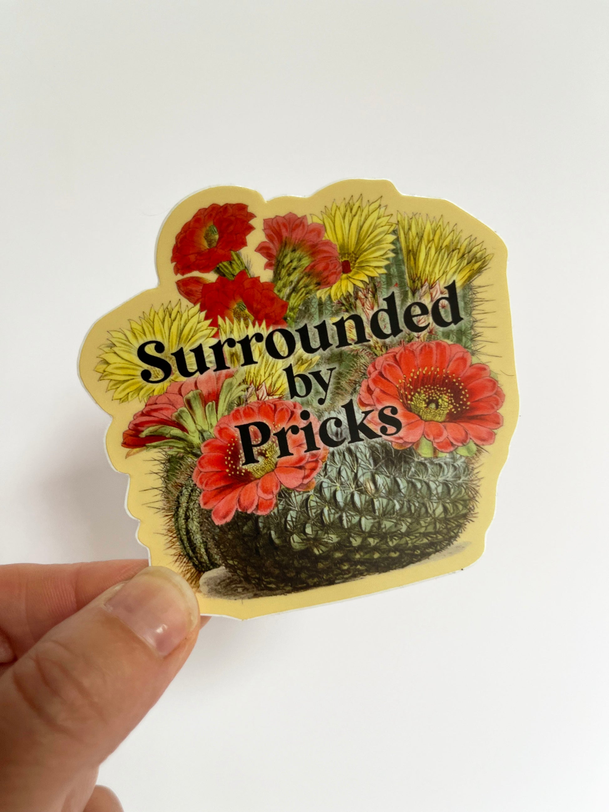stickers for plant lovers cactus flowers says surrounded by pricks hilarious relatable sticker red yellow green cute stickers coin laundry montana