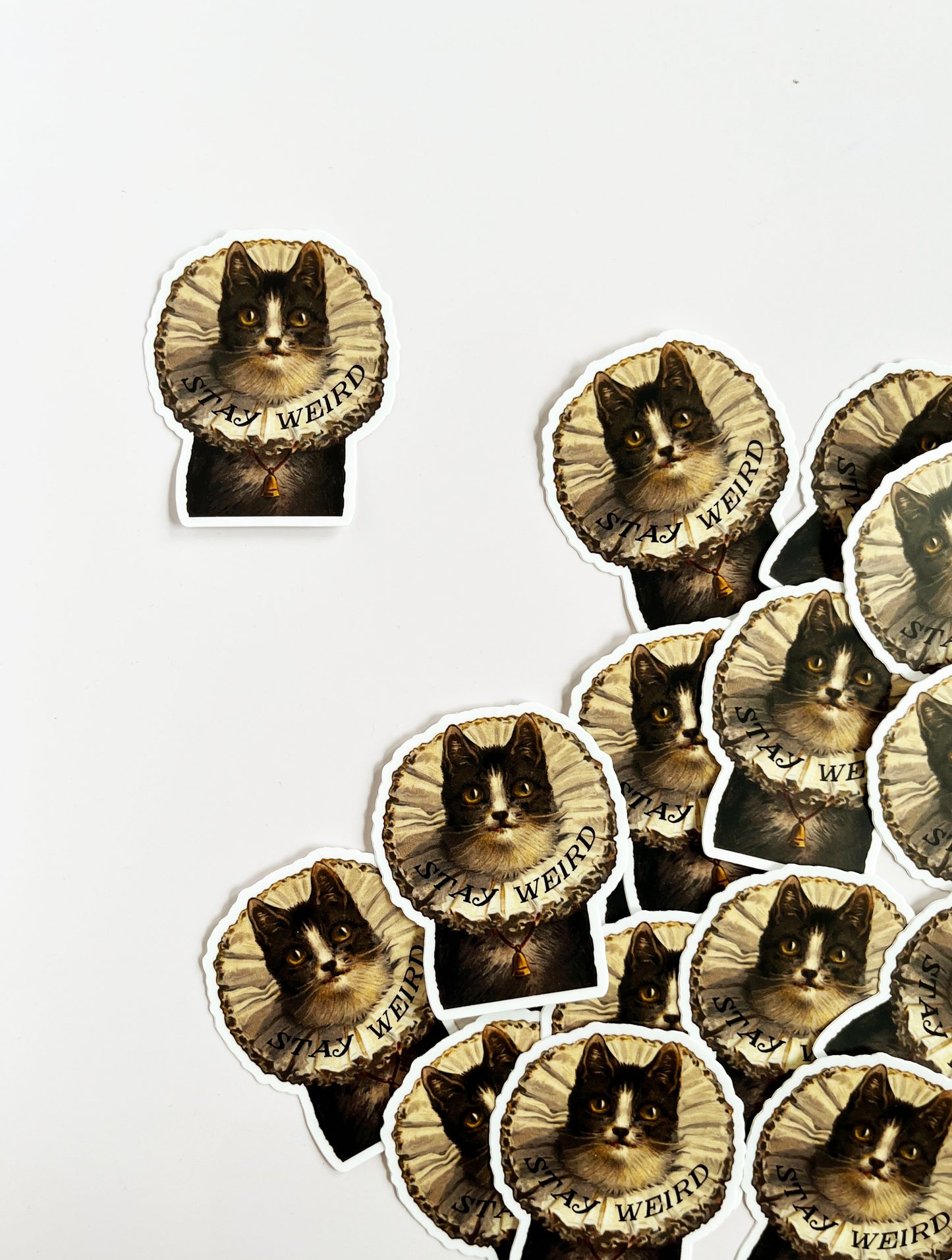 funny cat sticker stay weird vintage victorian style kitty stickers for weirdos fun stickers coin laundry montana