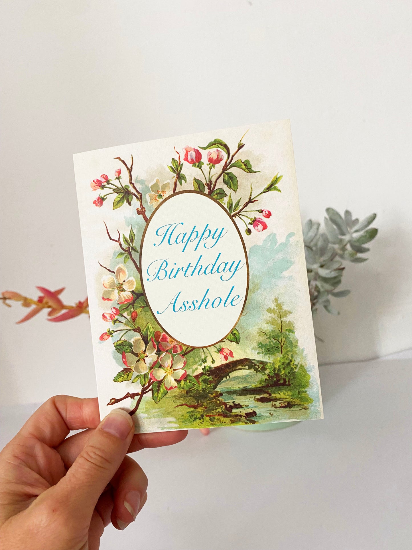 irthday card funny swear words retro vintage style text reads happy birthday asshole on front blank inside garden flowers pink white cream green blue pretty quaint natural scene water bridge coin laundry
