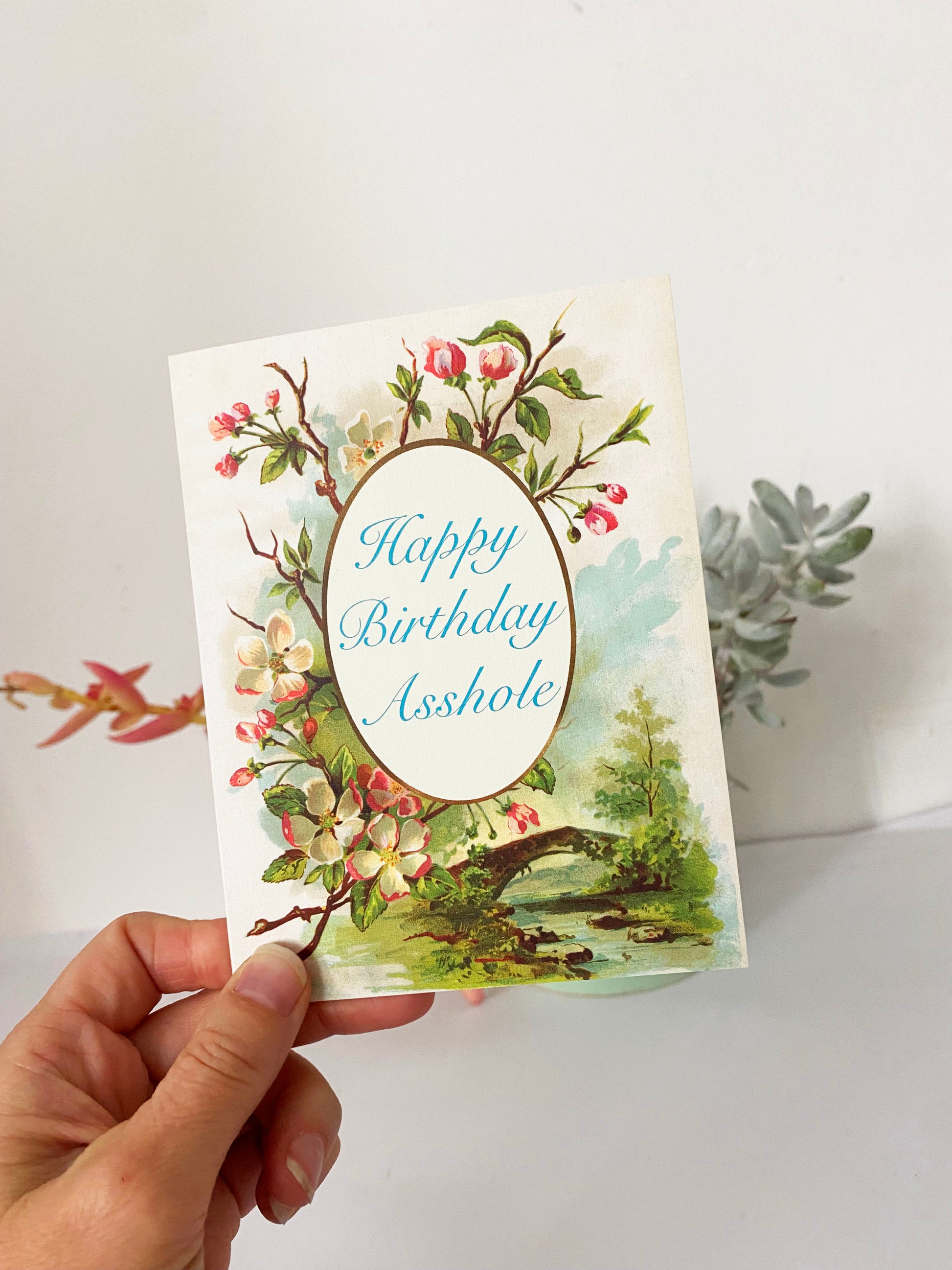 irthday card funny swear words retro vintage style text reads happy birthday asshole on front blank inside garden flowers pink white cream green blue pretty quaint natural scene water bridge coin laundry