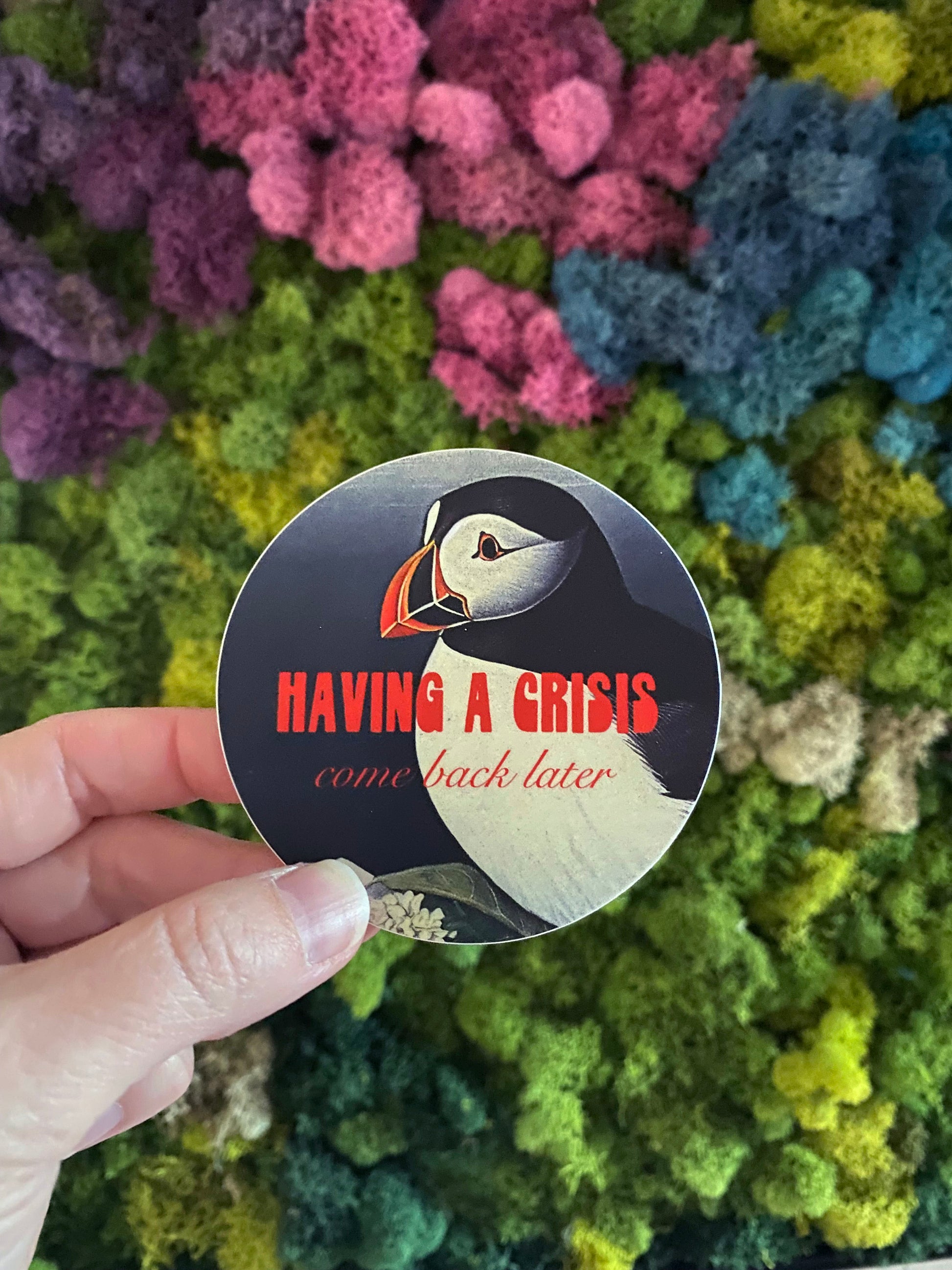round sticker funny having a crisis come back later joke silly funny mental health stickers bird sticker puffin sticker penguin sticker red gray vintage style coin laundry stickers montana 