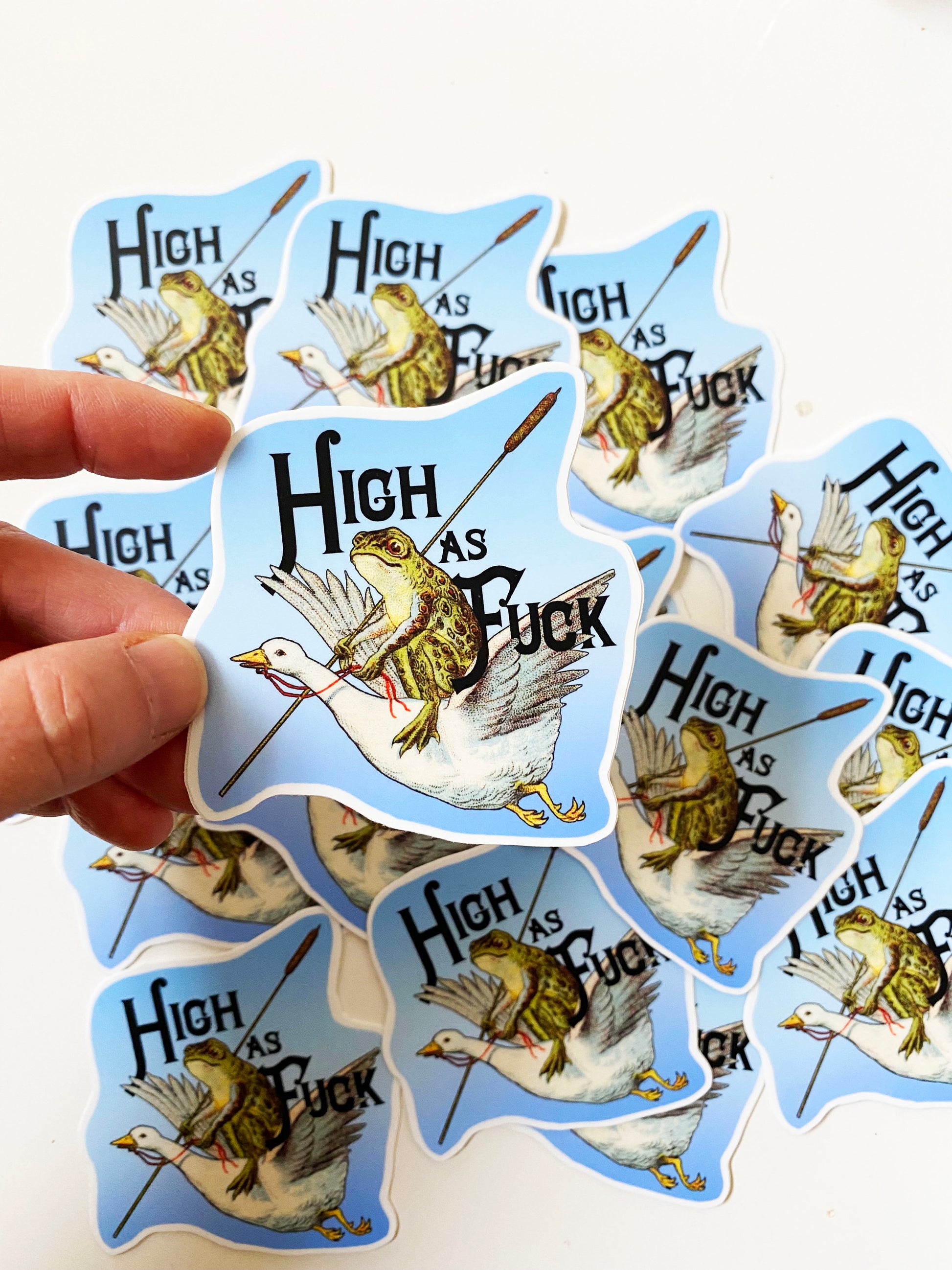 funny high as fuck sticker frog riding a goose blue weed humor 420 cute animals fun stickers coin laundry montana