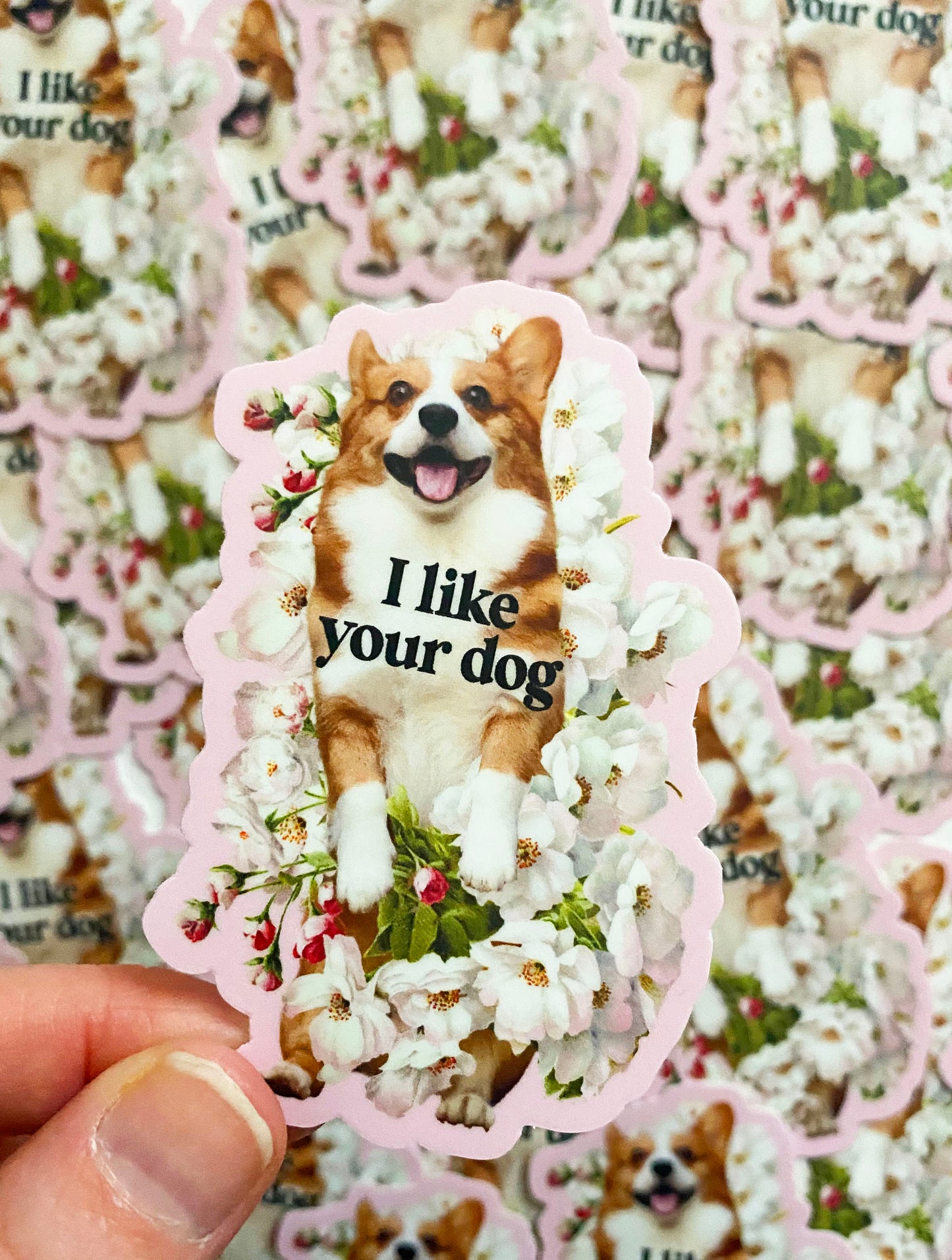 cute i like your dog sticker corgi flowers pink adorable fun coin laundry montana 