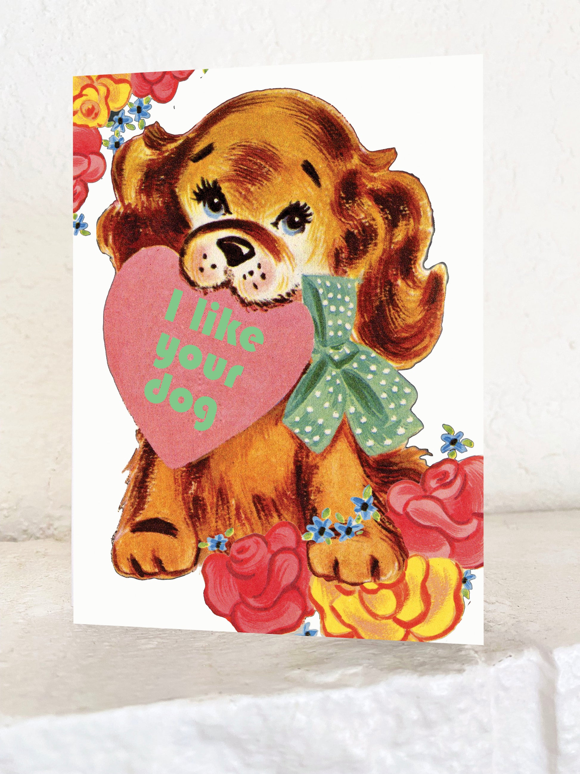kitsch retro cute puppy dog i like your dog with heart valentine love card wedding anniversary best friend vintage style valentine coin laundry montana cute greeting card funny cards for dog lover